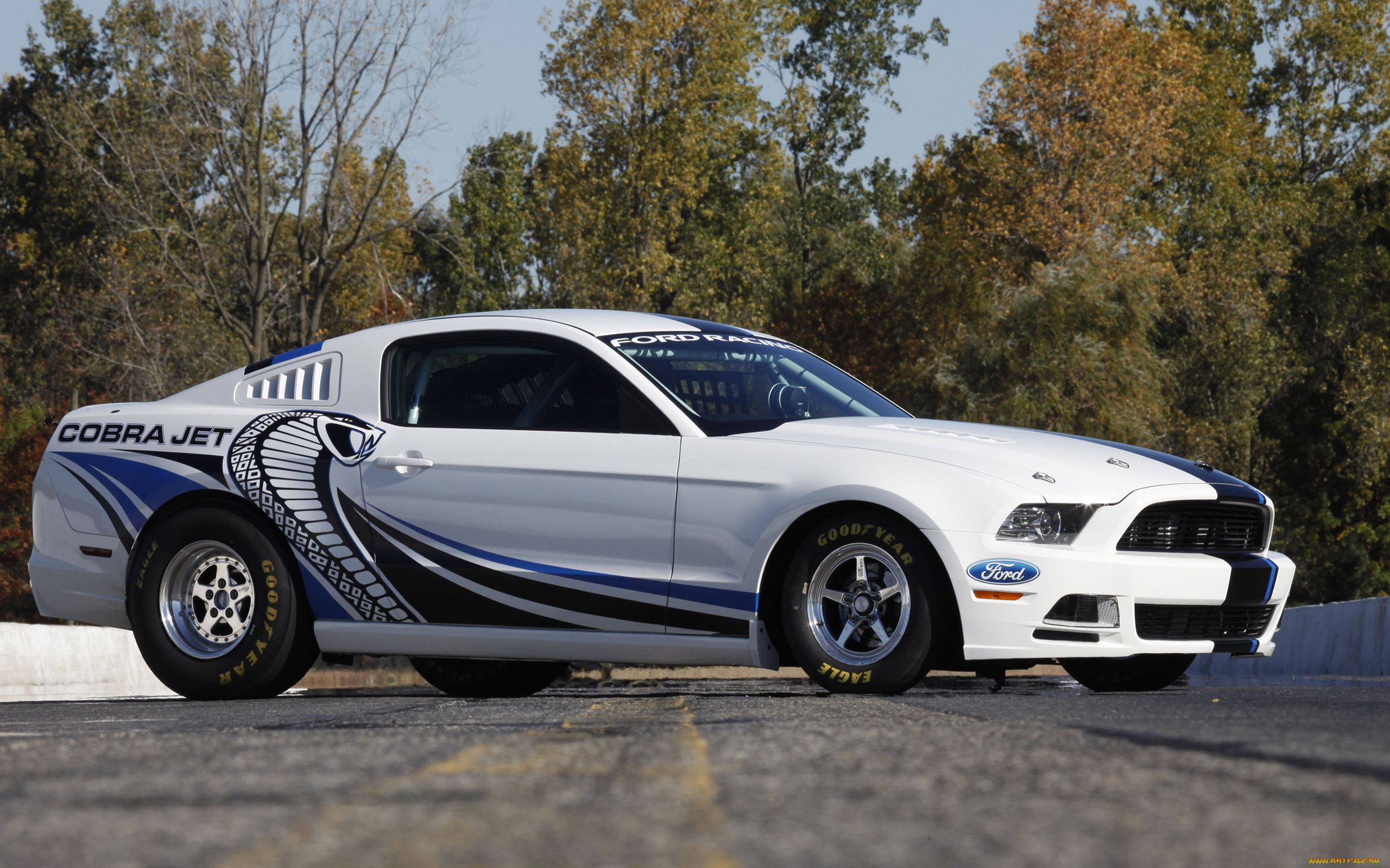 автомобили, hotrod, dragster, ford