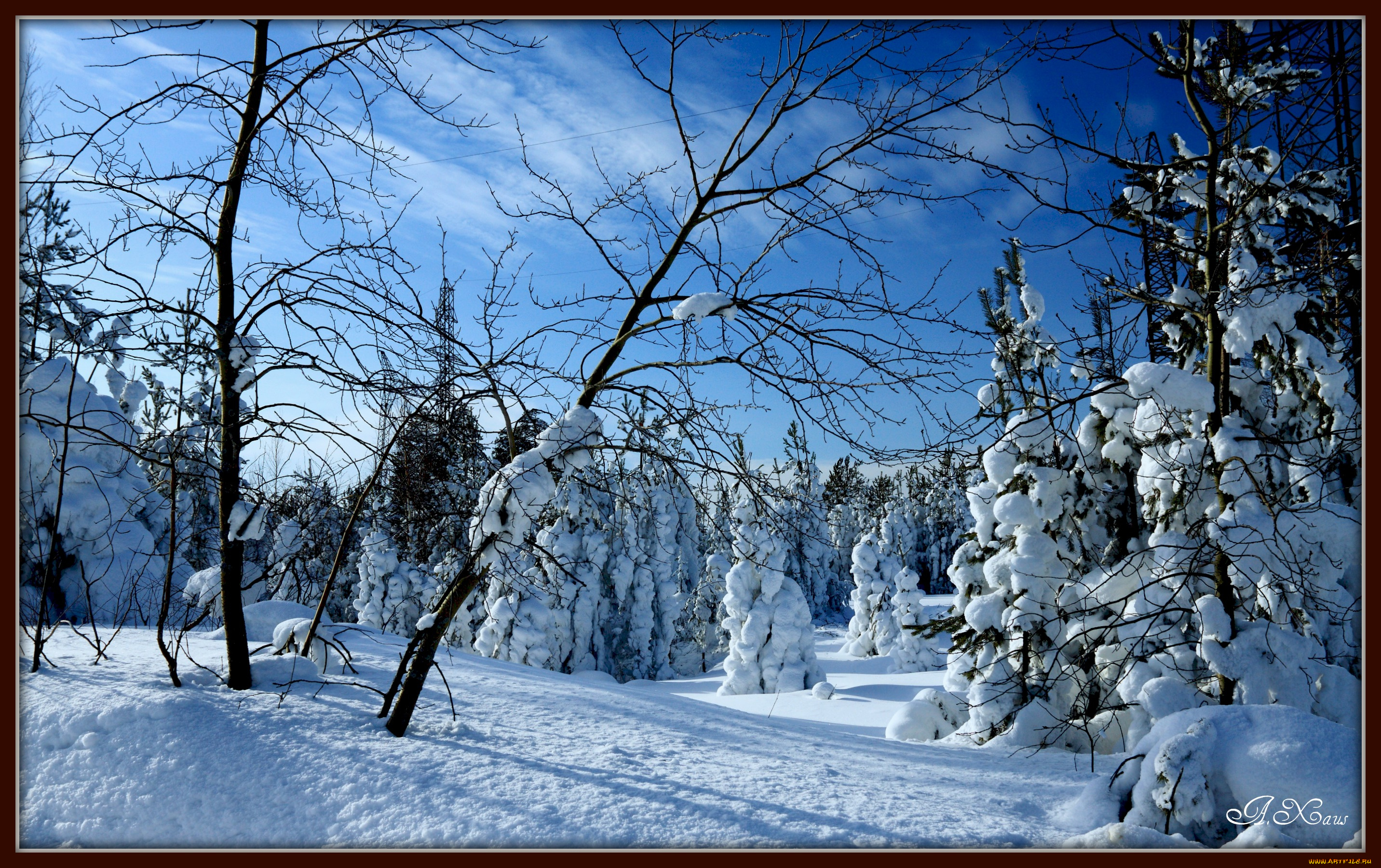 природа, зима, снег