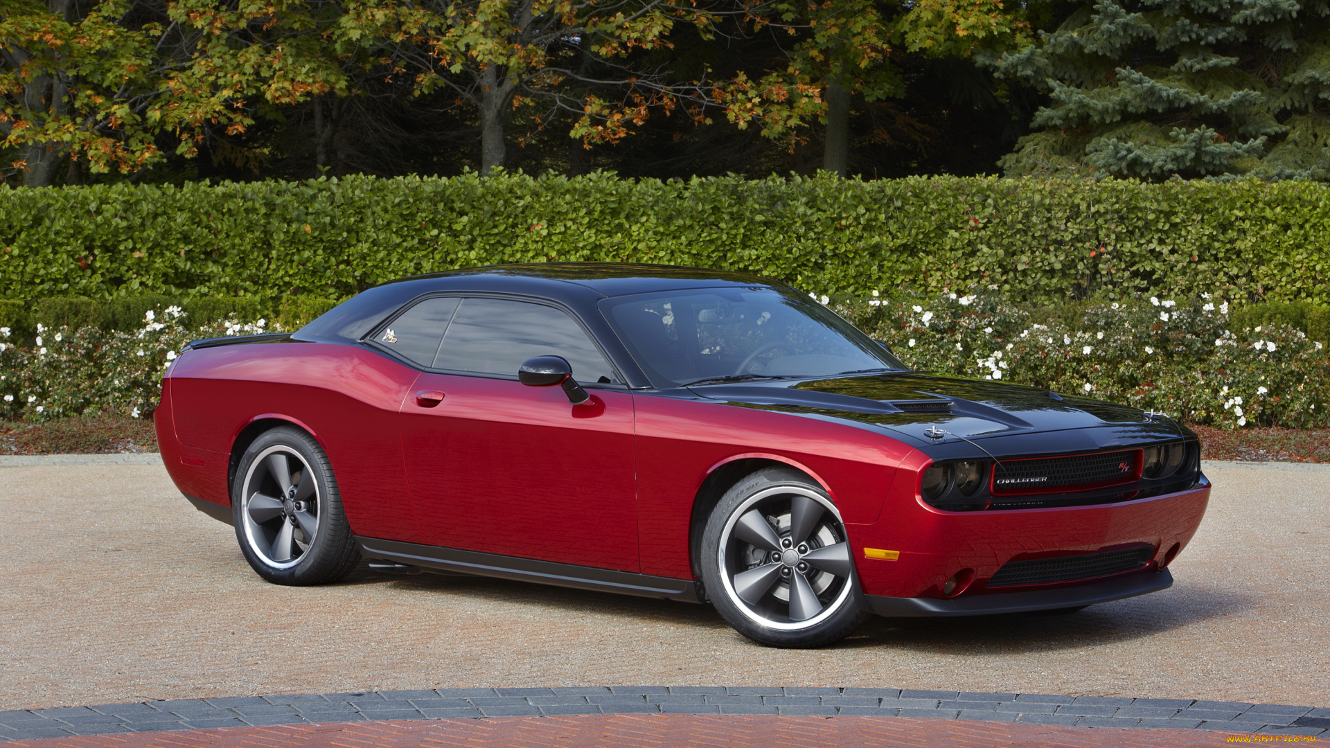 2013, dodge, challenger, rt, автомобили, dodge, тюнинг, challenger