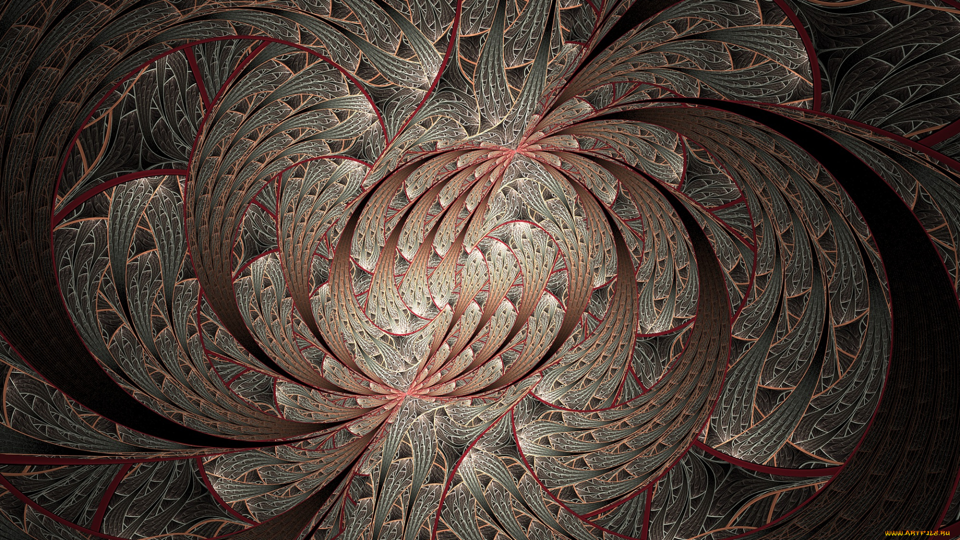 3д, графика, fractal, , фракталы, цвета, узор, фон