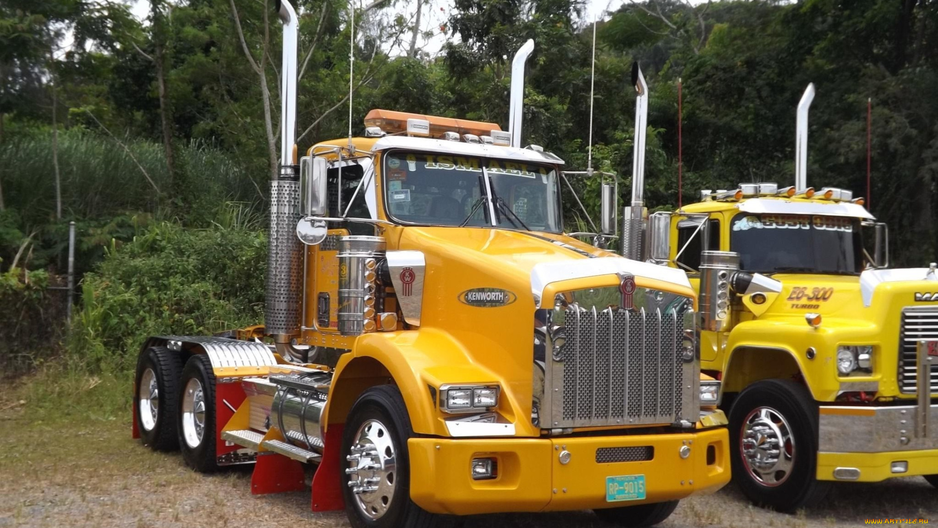 kenworth, автомобили, сша, автобусы, грузовые, truck, company