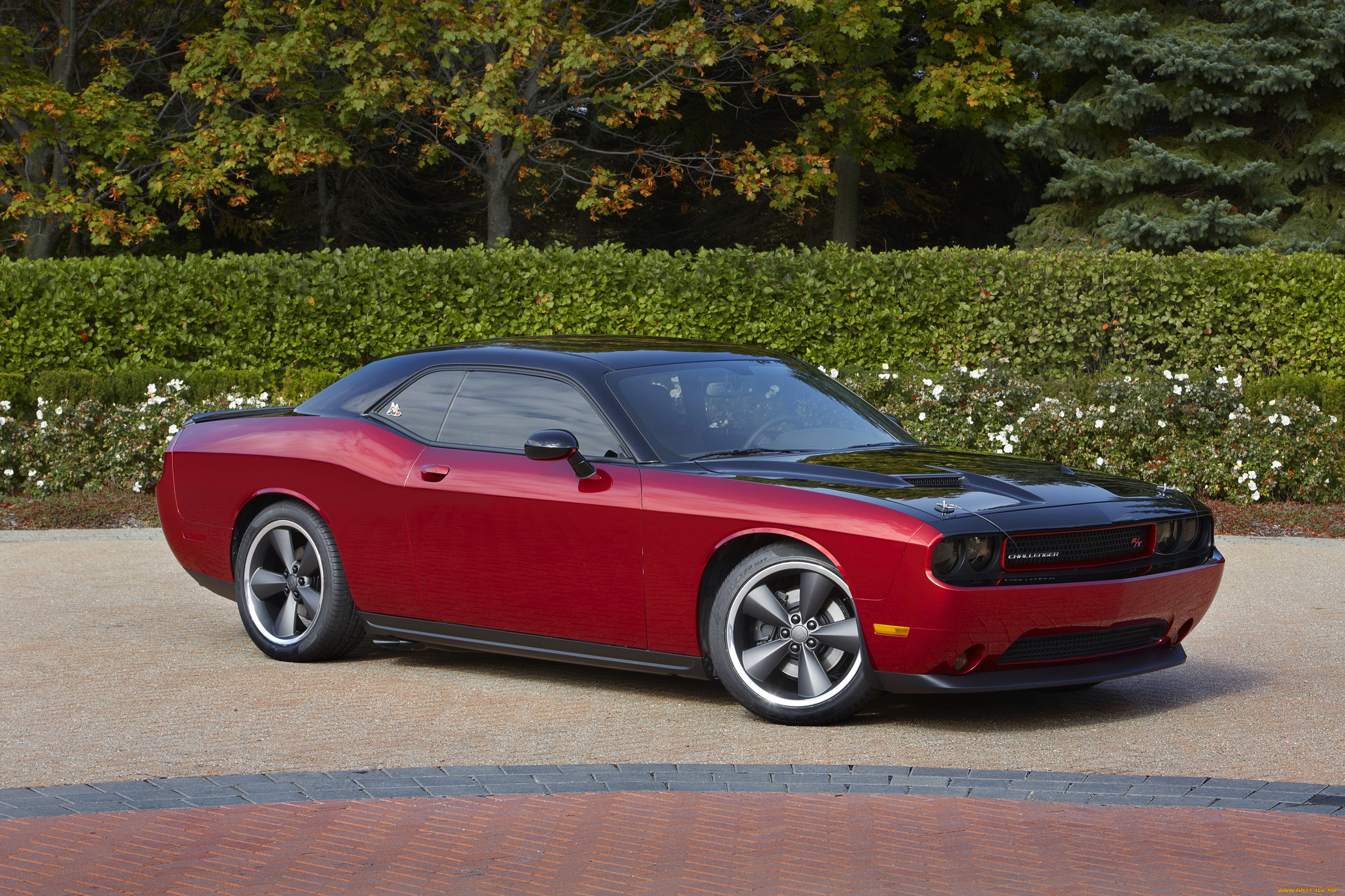 2013, dodge, challenger, rt, автомобили, dodge, тюнинг, challenger