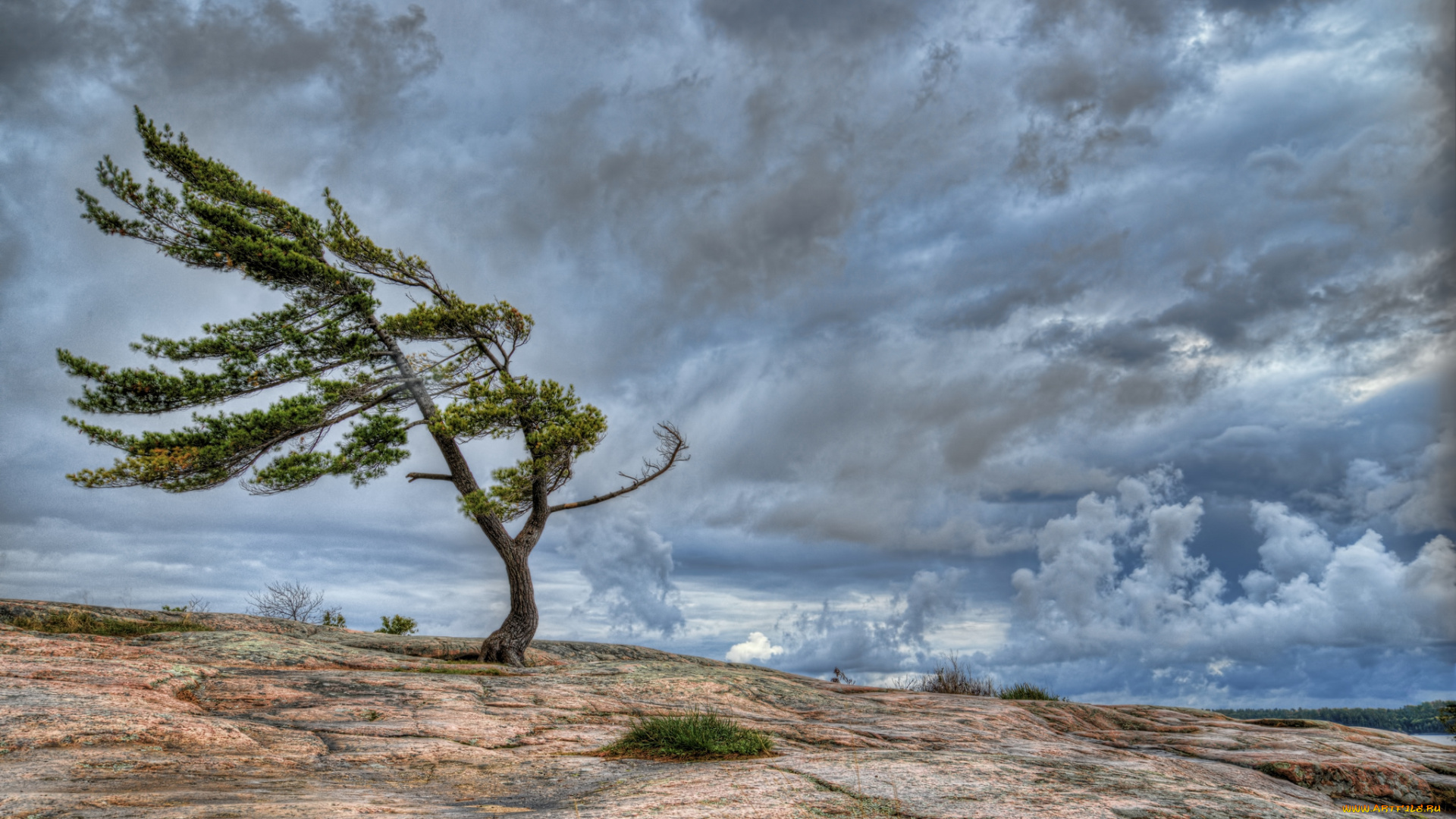 природа, деревья, небо, облака, скала, дерево, ветер