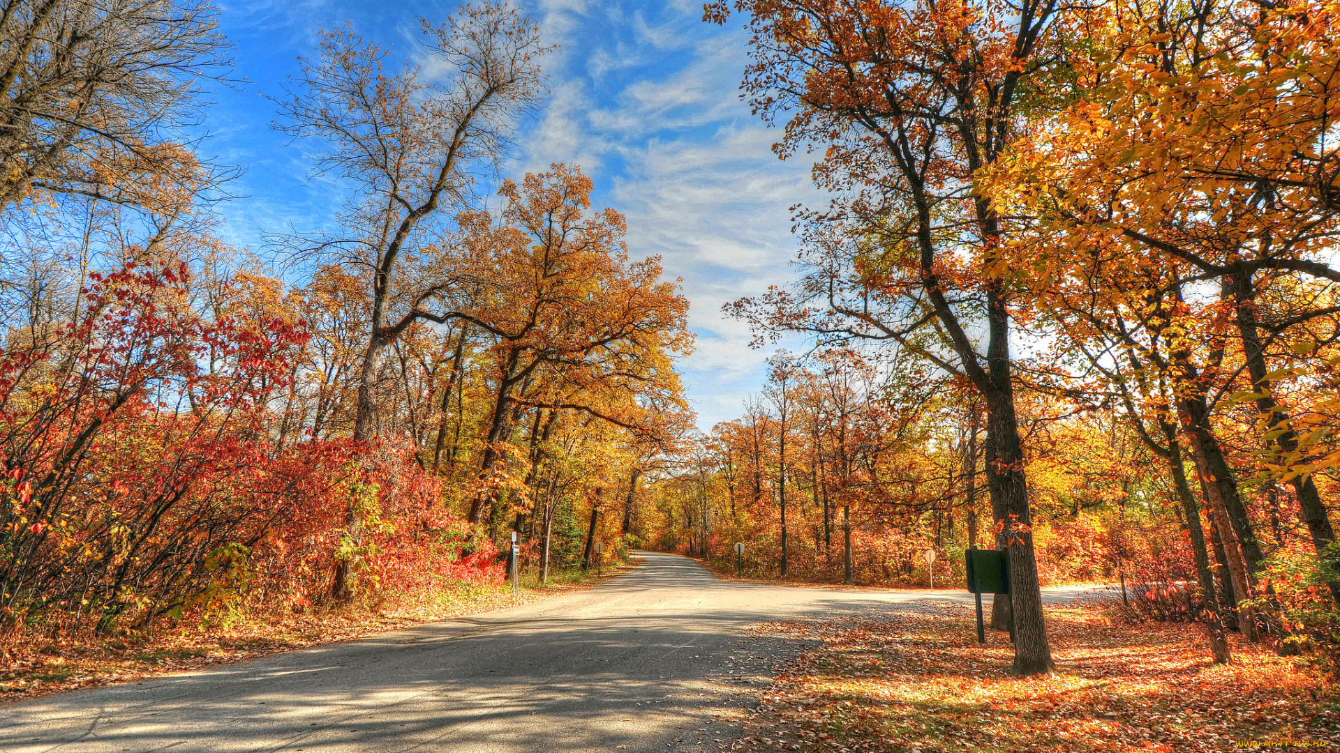 природа, дороги, осень, дорога, деревья
