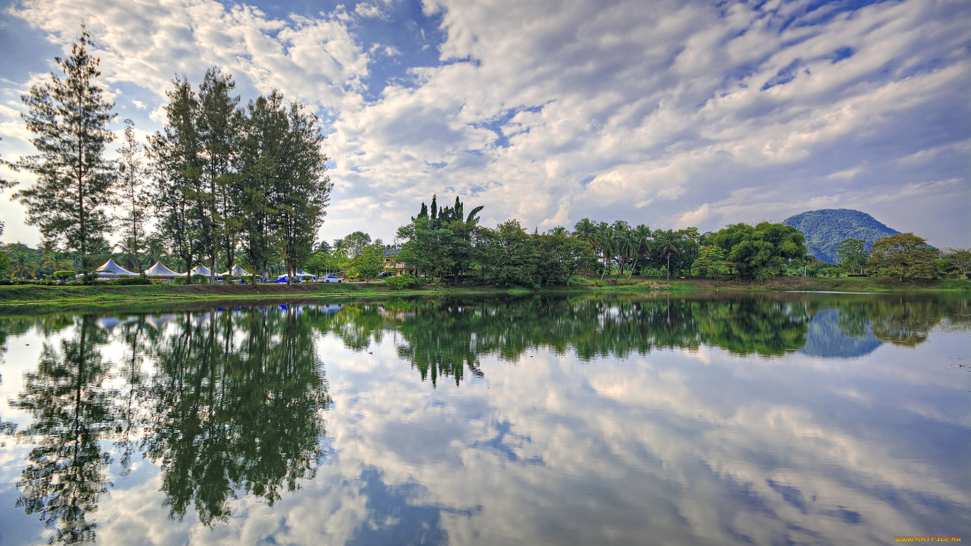 природа, реки, озера, горы, лес, река