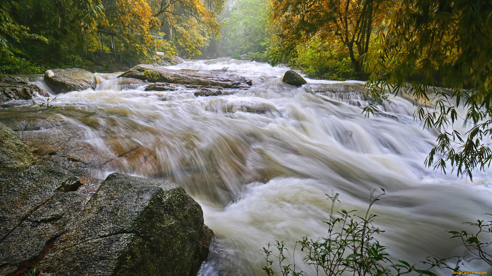 природа, реки, озера, лес, река, водопад