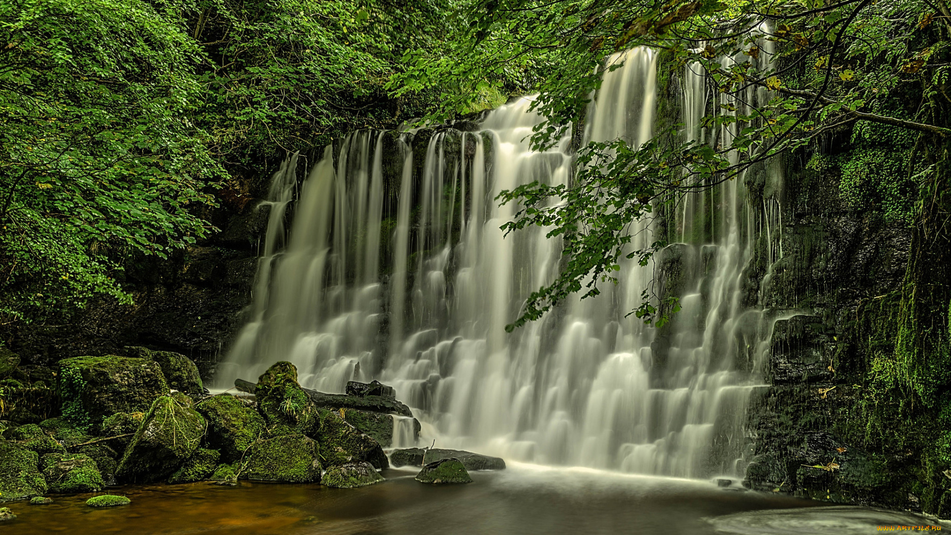 природа, водопады, лес, водопад, река