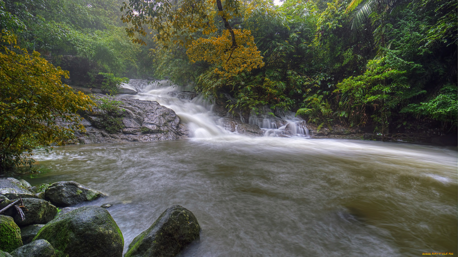 природа, водопады, лес, водопад, река