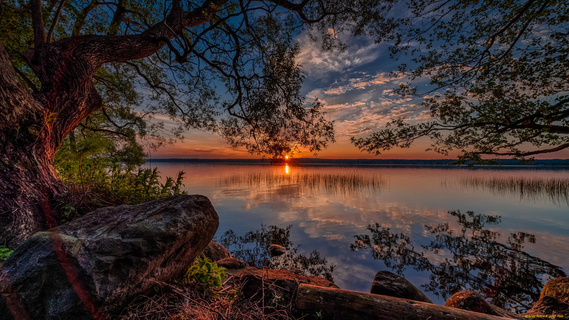 природа, восходы, закаты, пейзаж, река, закат, камень, деревья