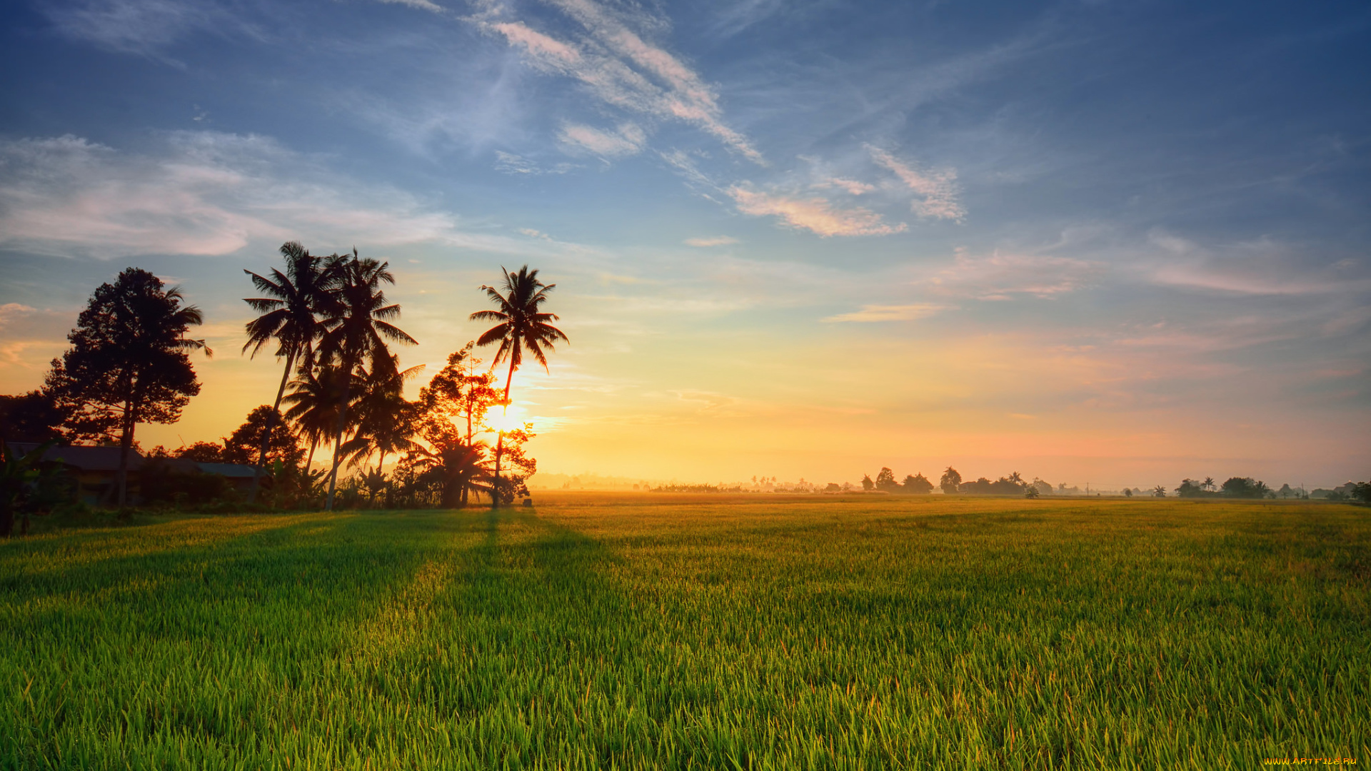 природа, восходы, закаты, поле, рассвет