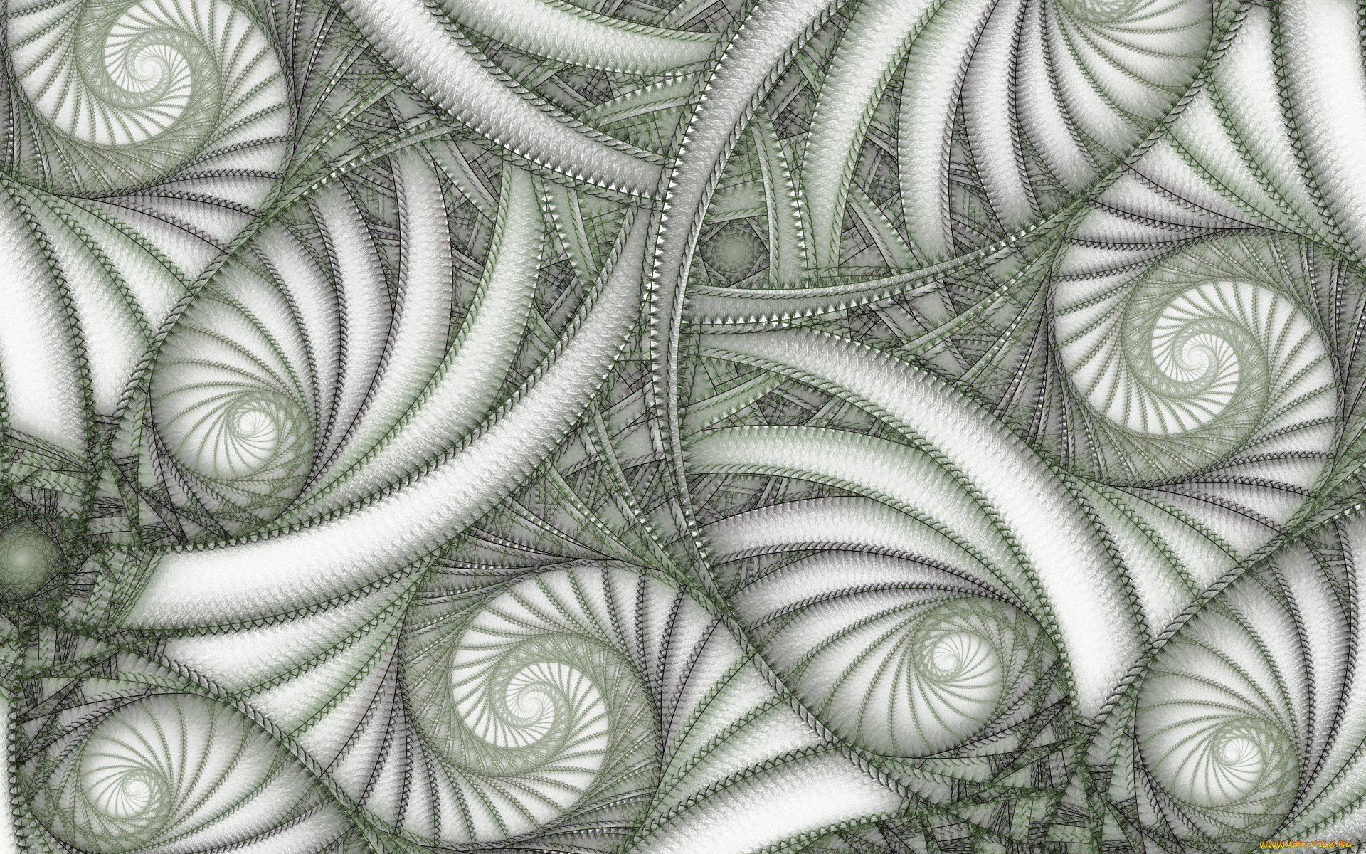 3д, графика, фракталы, , fractal, цвета, фон, узор