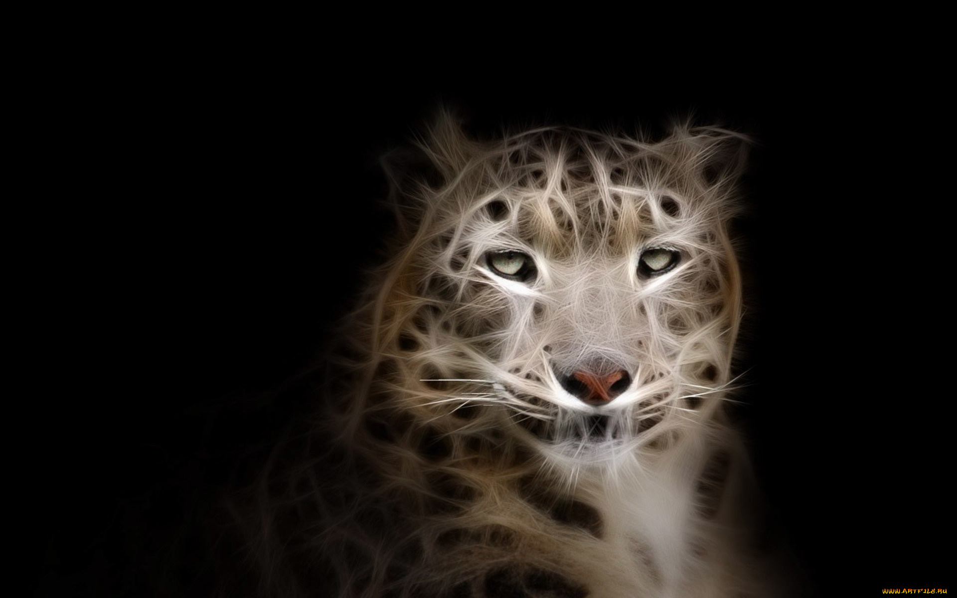 3д, графика, животные, , animals, леопард, фон, взгляд