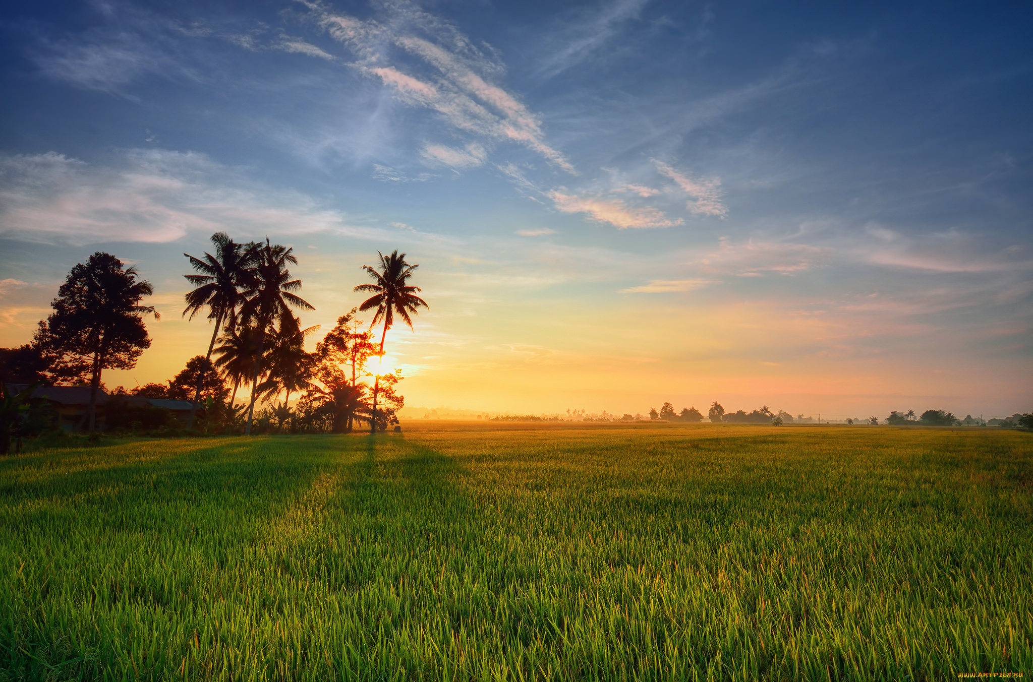 природа, восходы, закаты, поле, рассвет