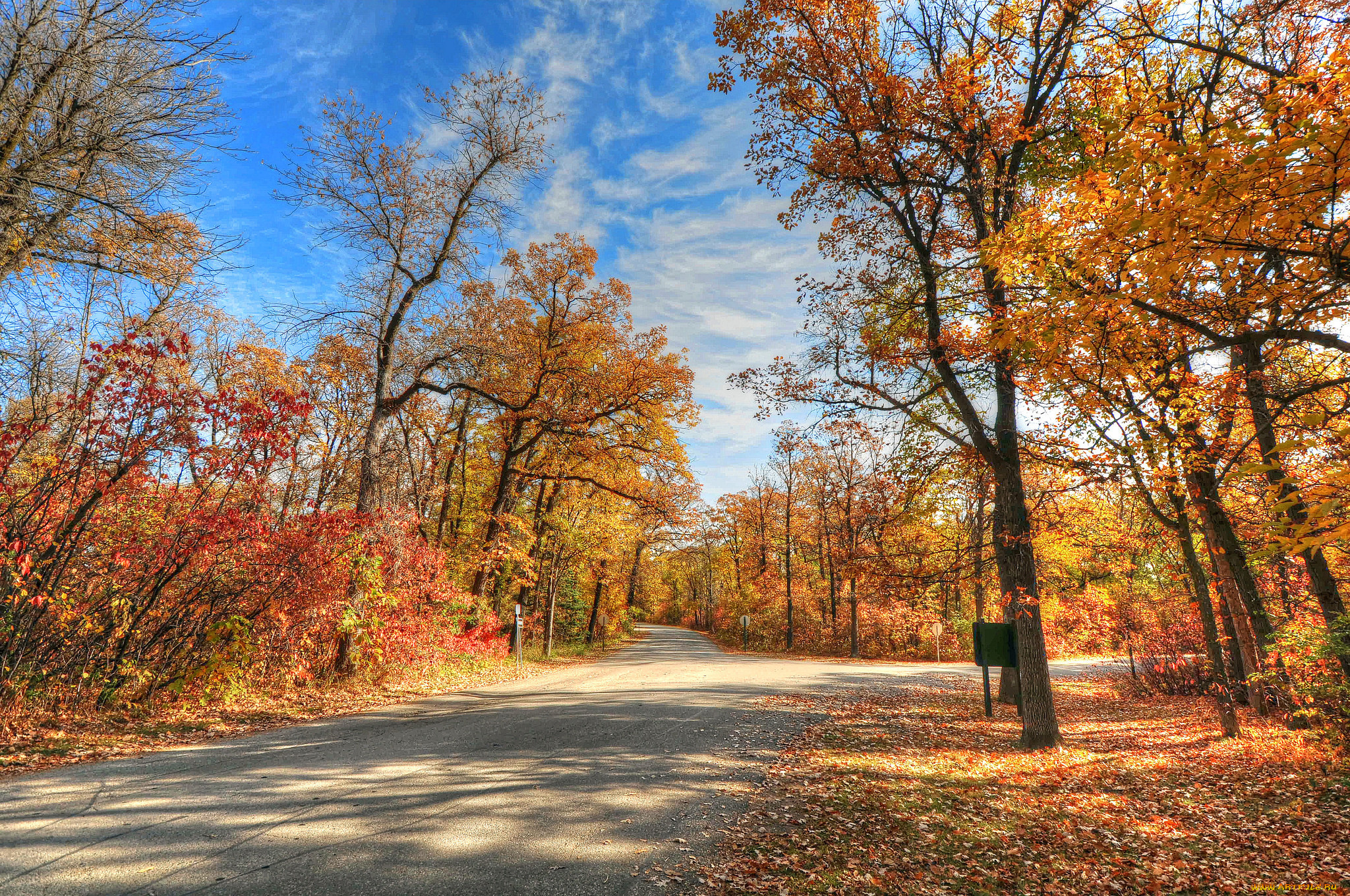 природа, дороги, осень, дорога, деревья