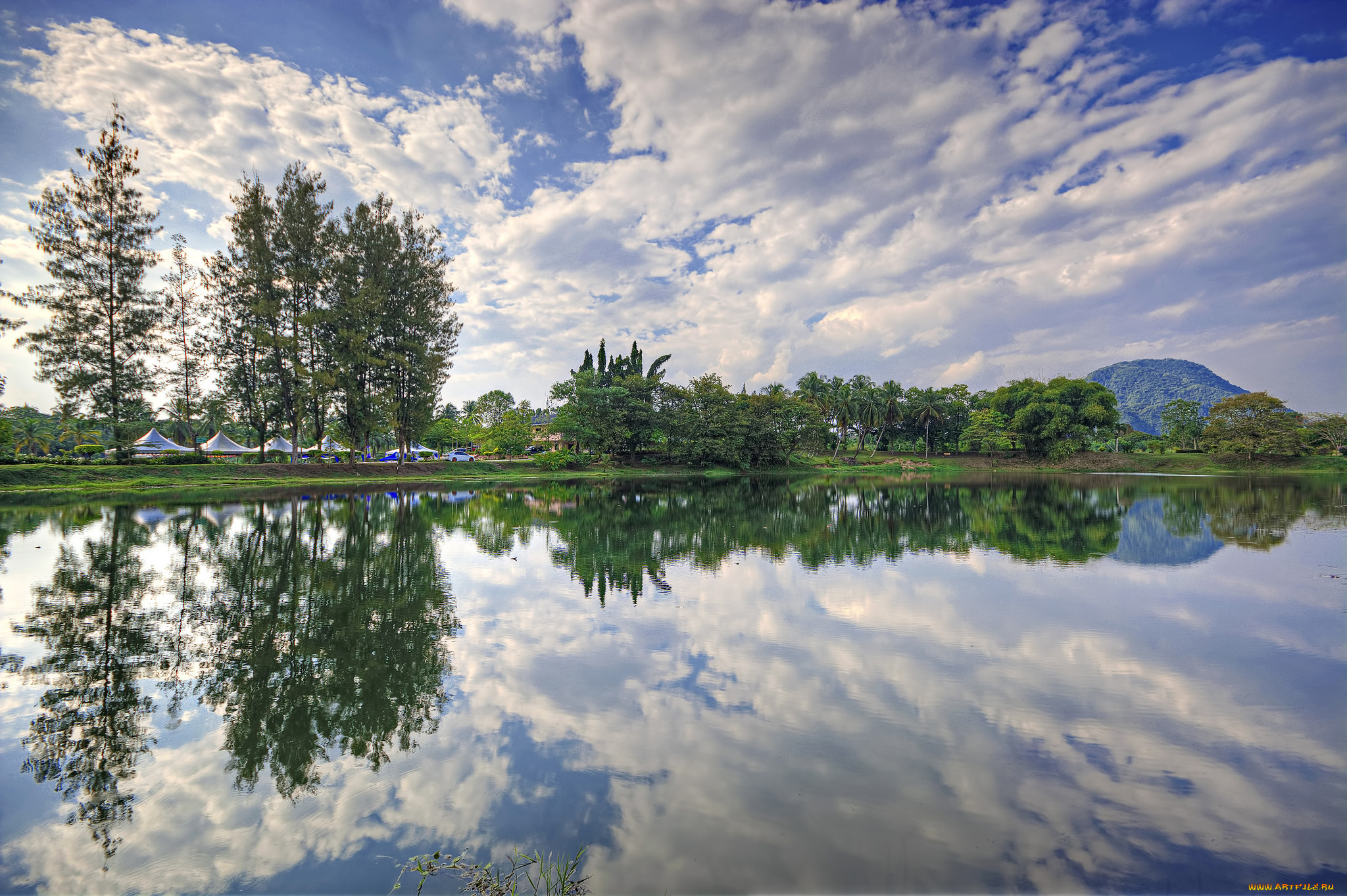 природа, реки, озера, горы, лес, река