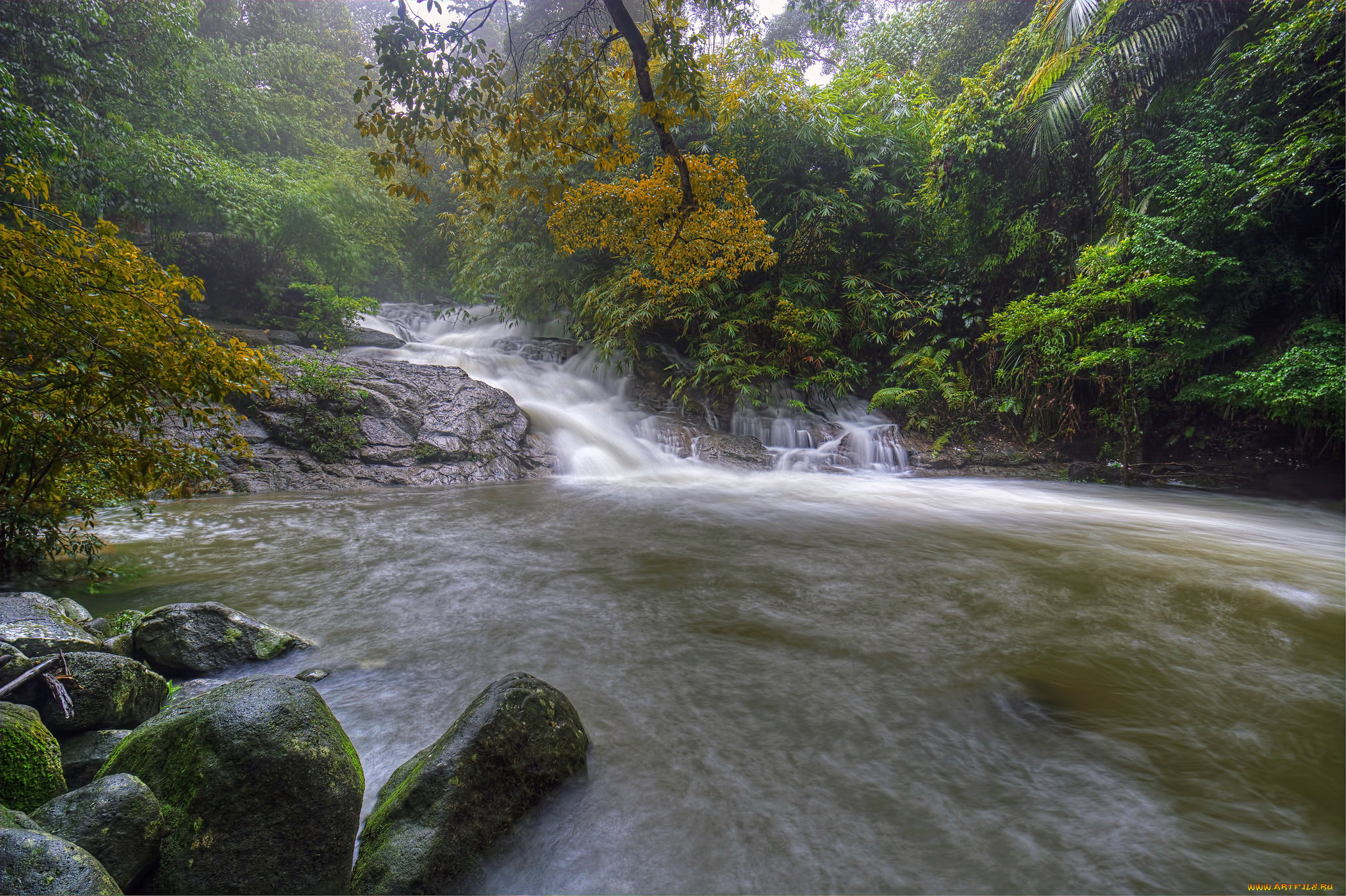 природа, водопады, лес, водопад, река