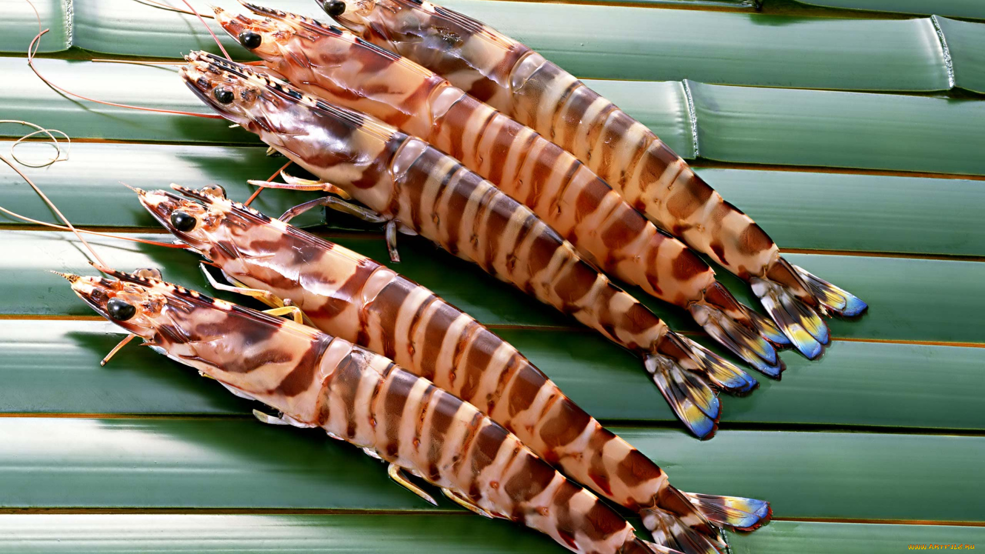 еда, рыба, , морепродукты, , суши, , роллы, креветки, тигровые