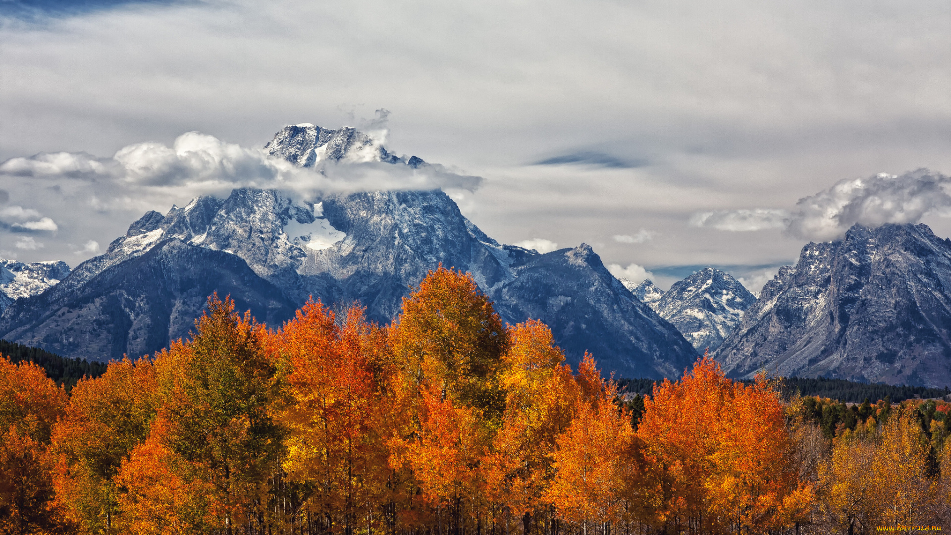 природа, пейзажи, вершины, лес, осень