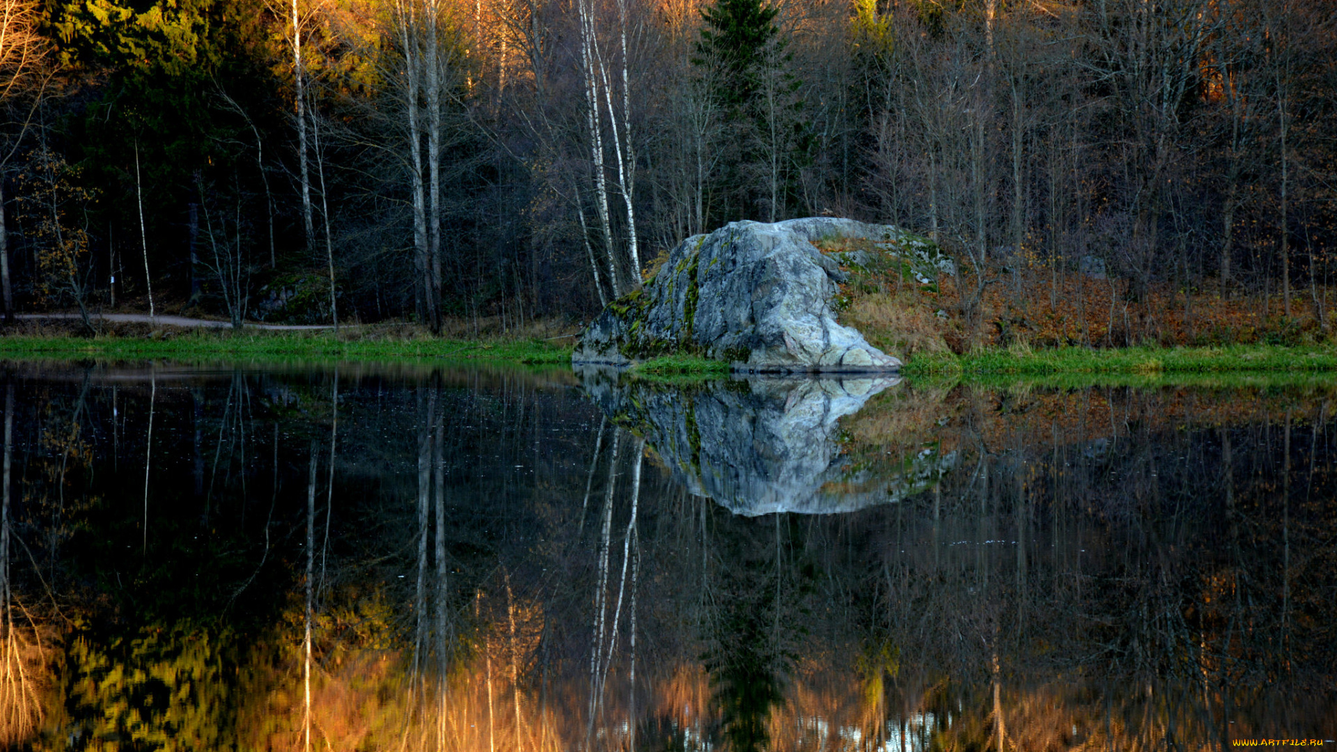 природа, реки, озера, река, лес