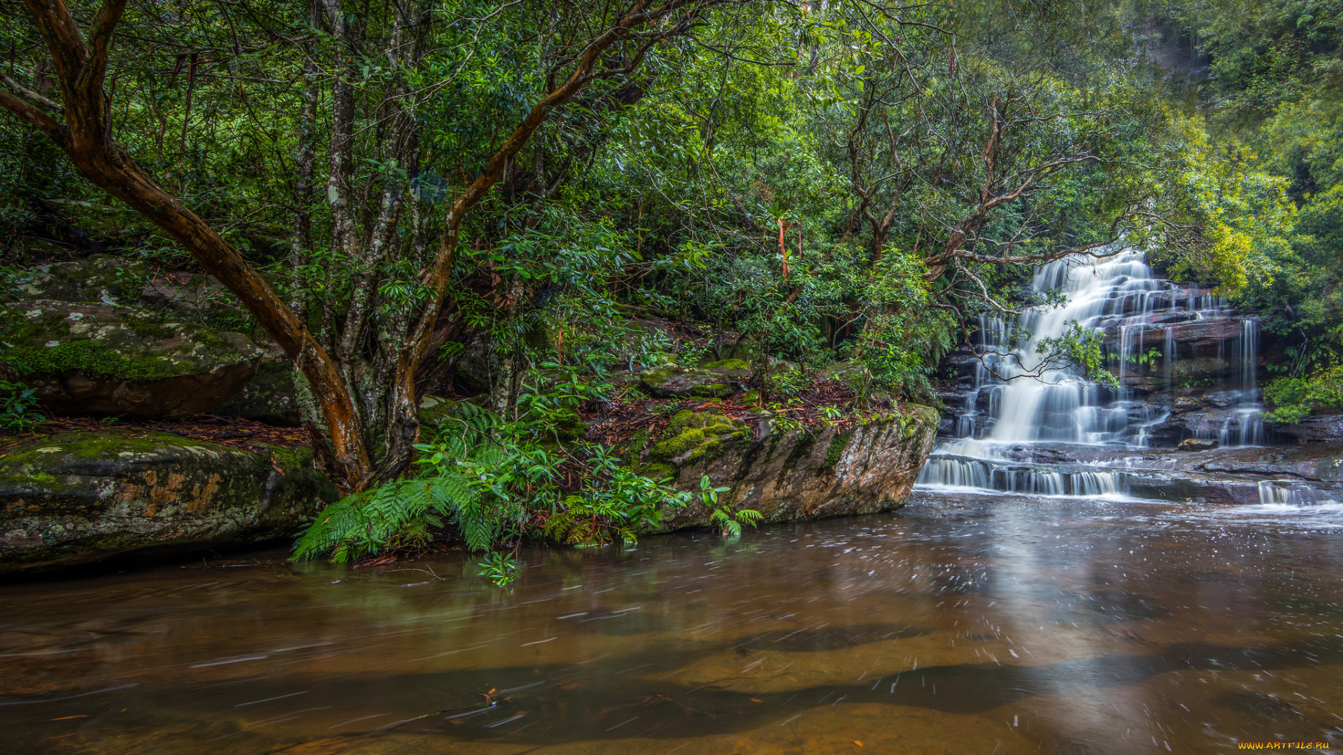 природа, водопады, река, лес