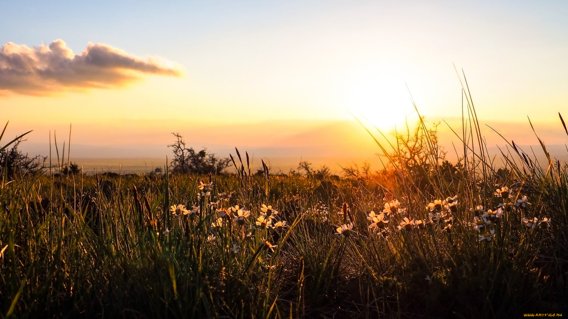 природа, восходы, закаты, рассвет