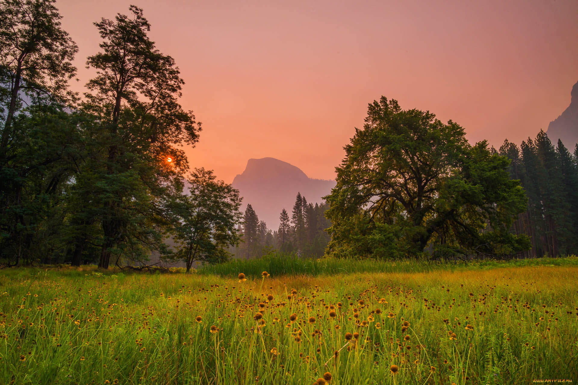 природа, луга, луг, лес, горы