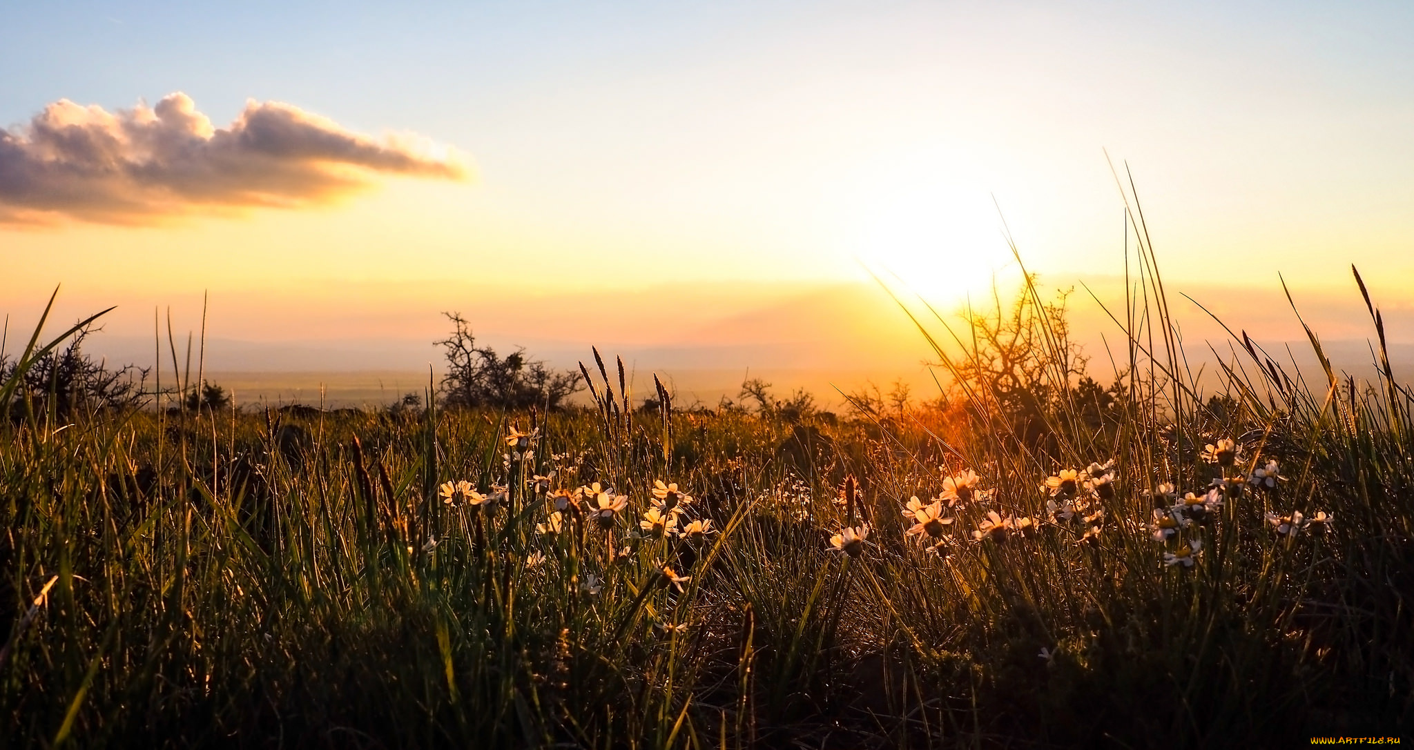 природа, восходы, закаты, рассвет