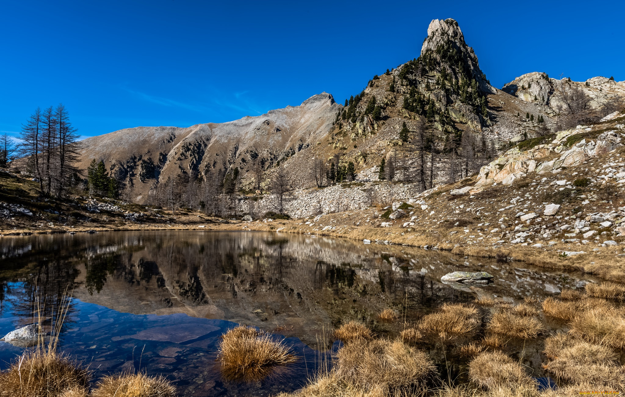 природа, реки, озера, река, лес