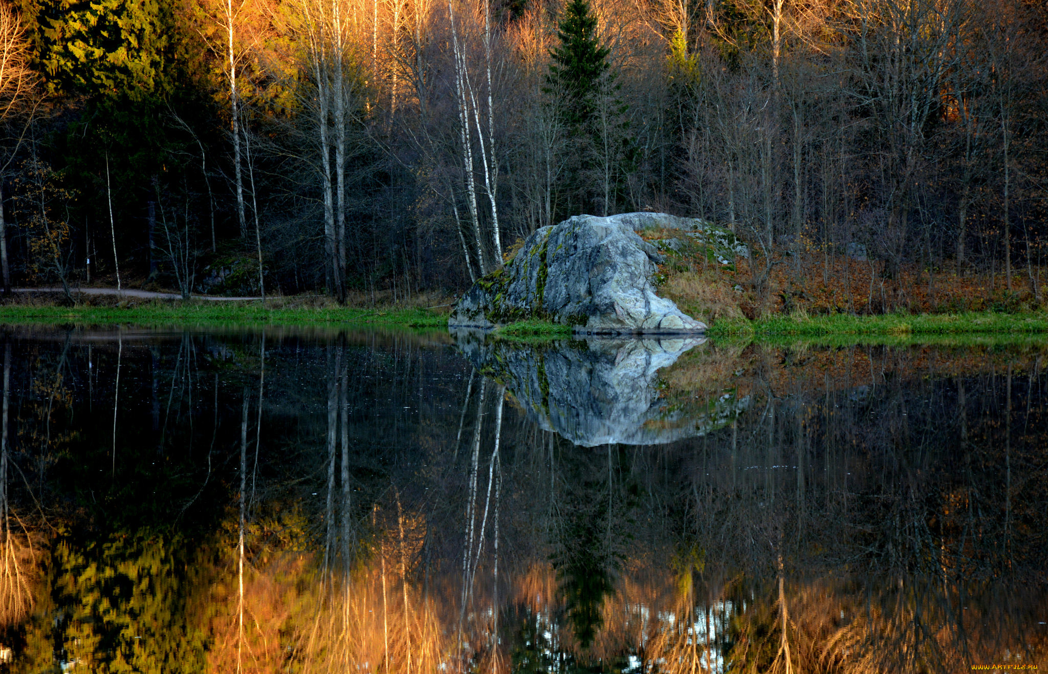 природа, реки, озера, река, лес