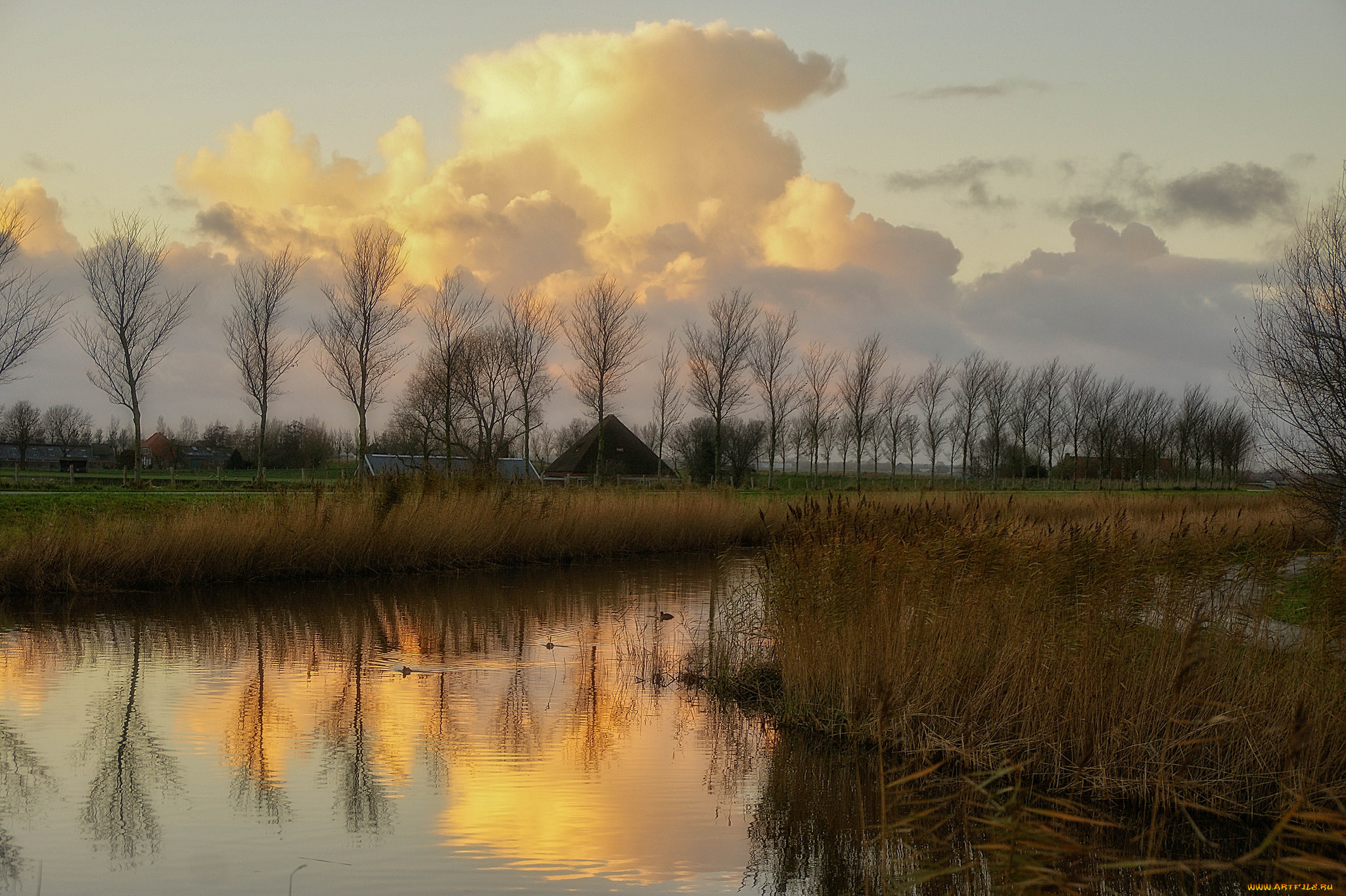 природа, реки, озера, река, лес