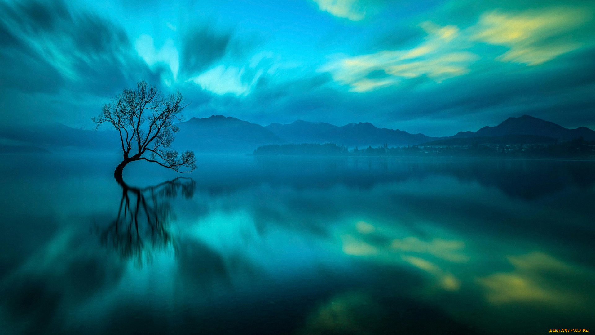природа, реки, озера, дерево, озеро