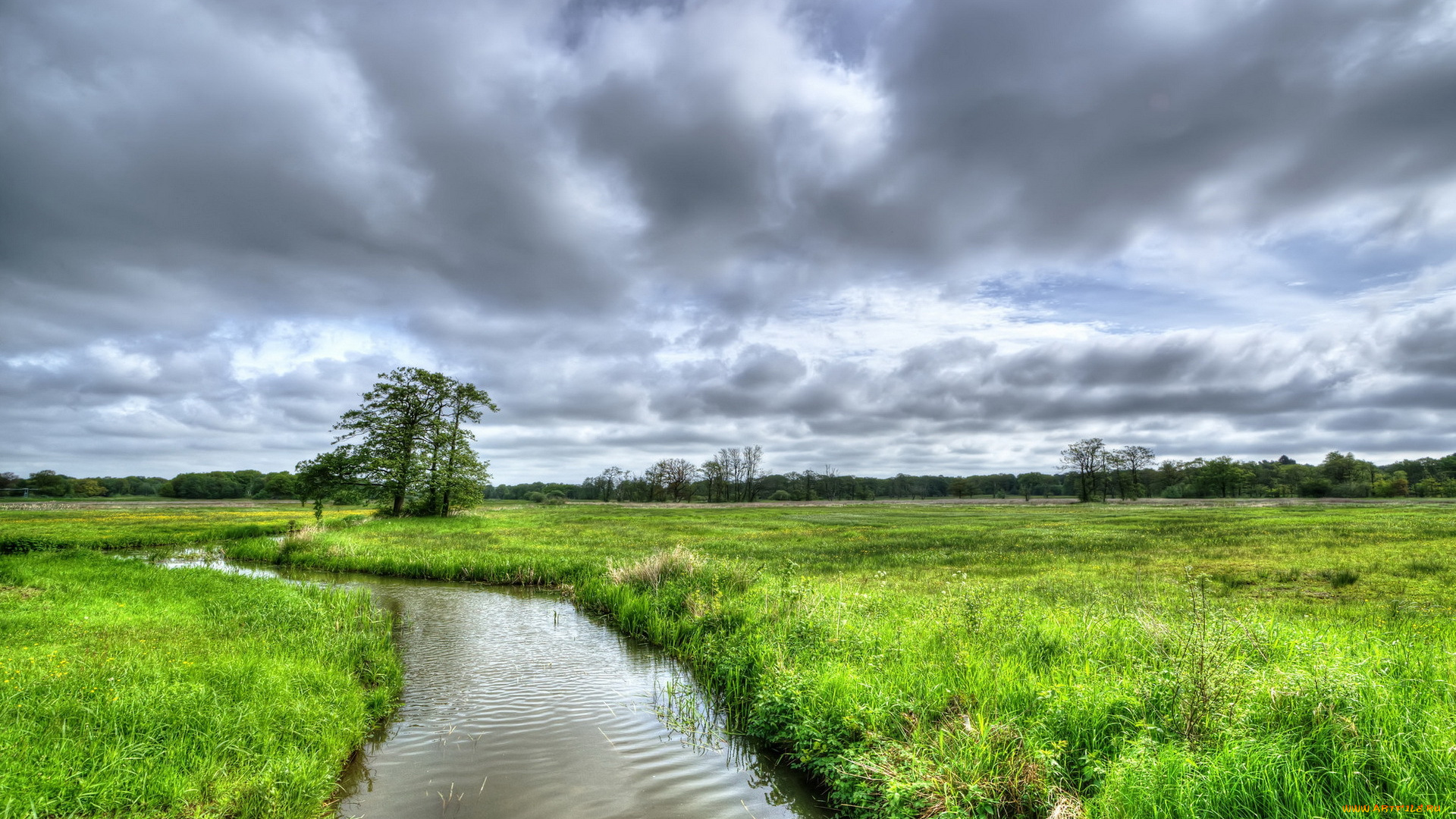 природа, реки, озера, луг, река