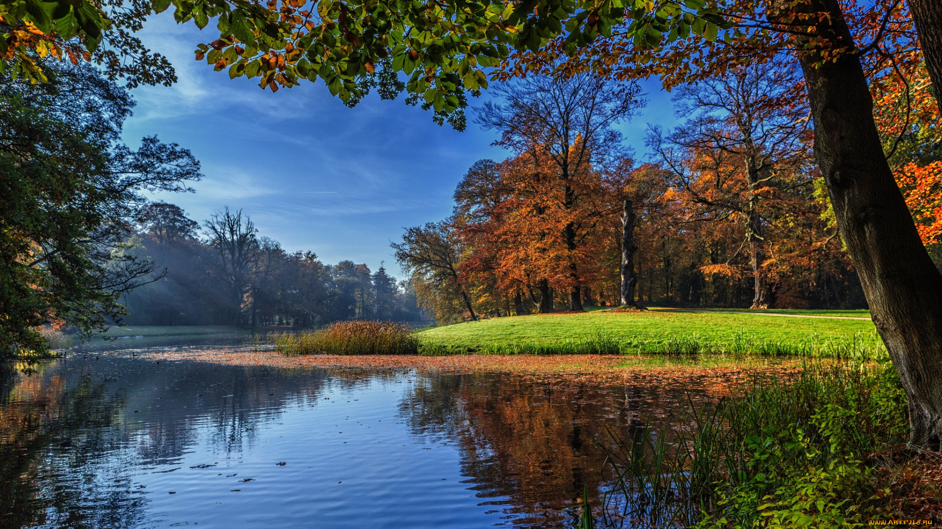 природа, реки, озера, река, лес