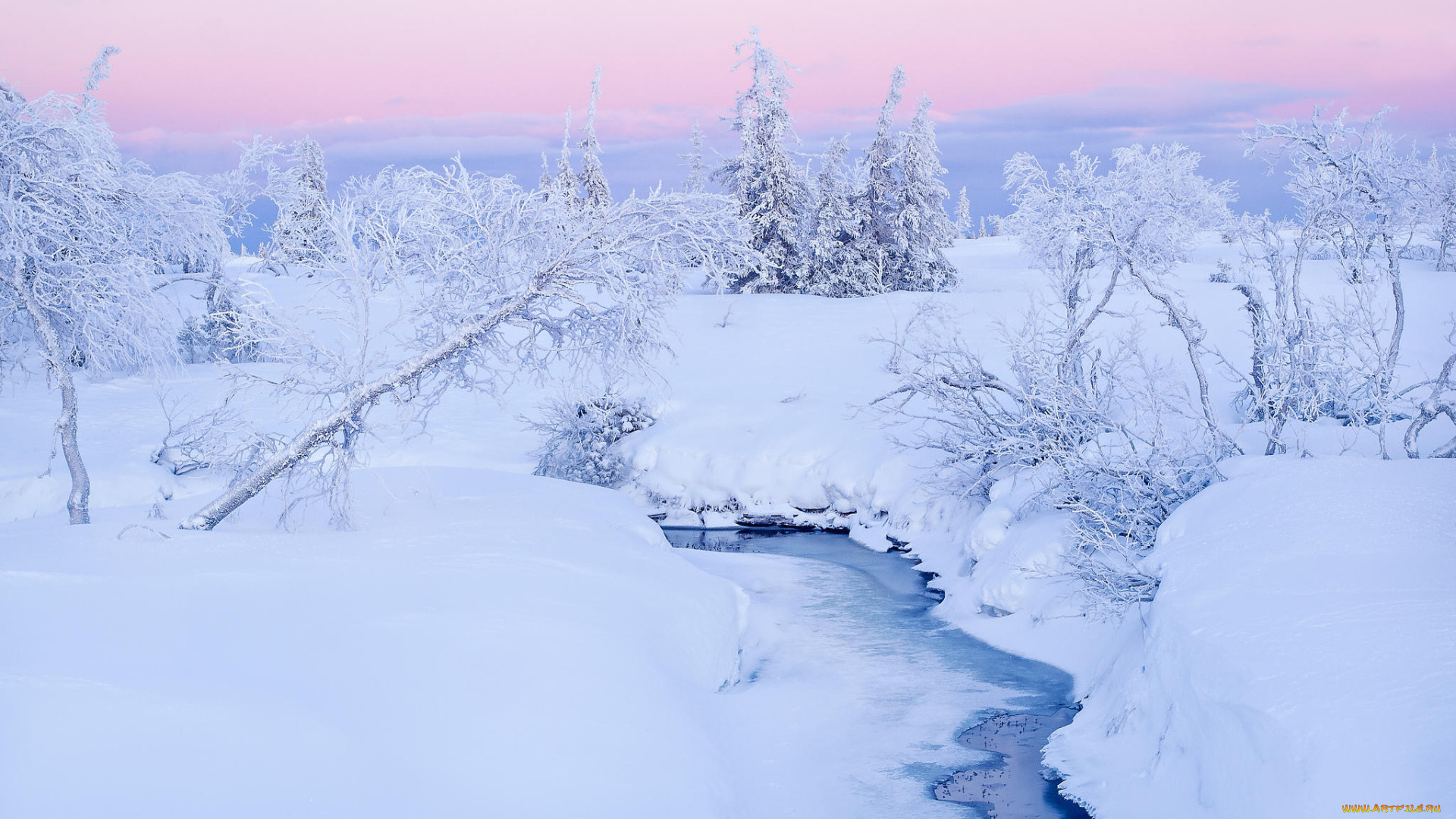 природа, зима, деревья, снег