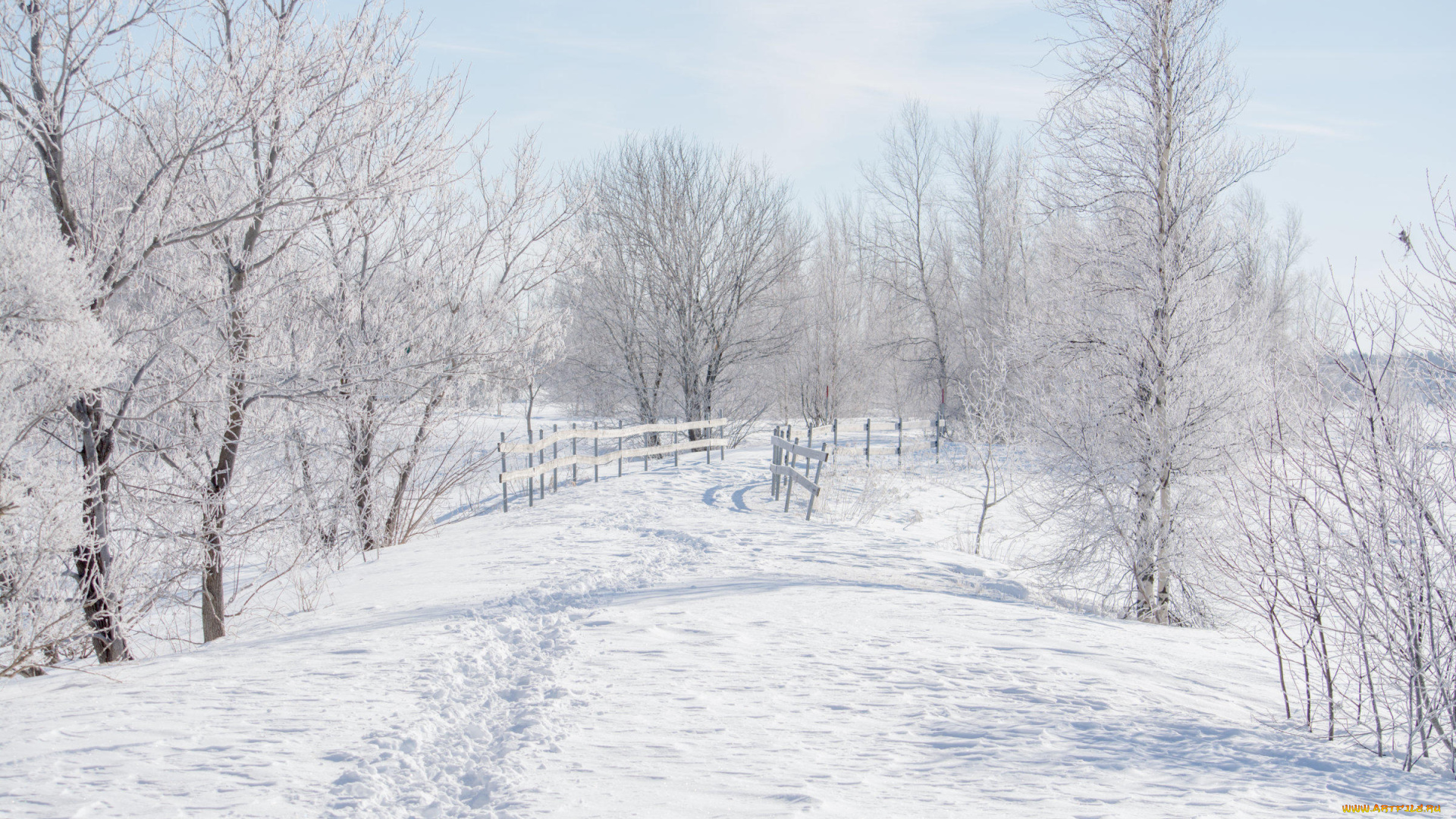 природа, зима, деревья, снег