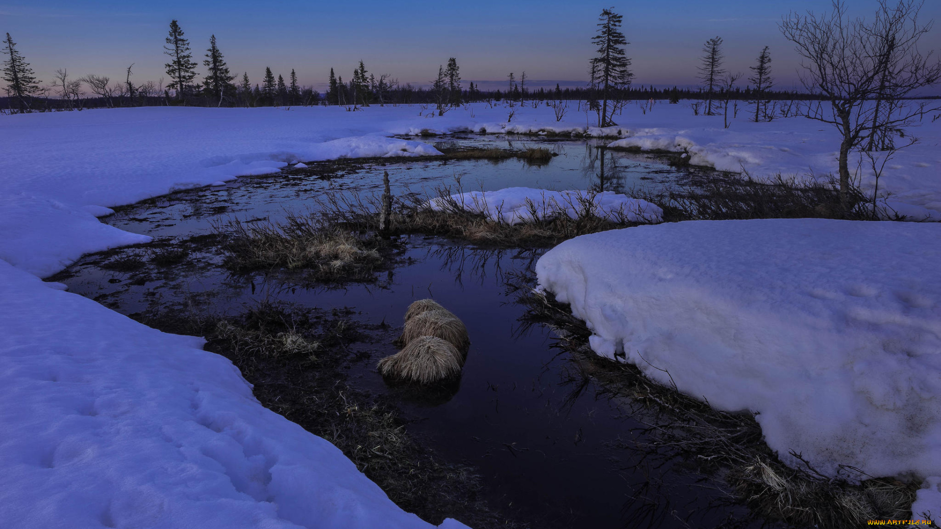 природа, зима, река, снег