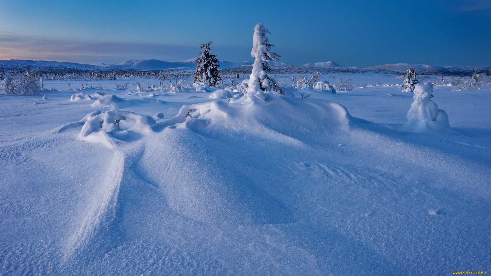 природа, зима, снег, деревья