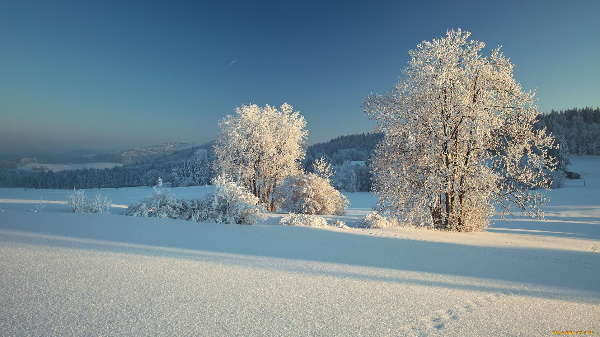 природа, зима, снег, деревья