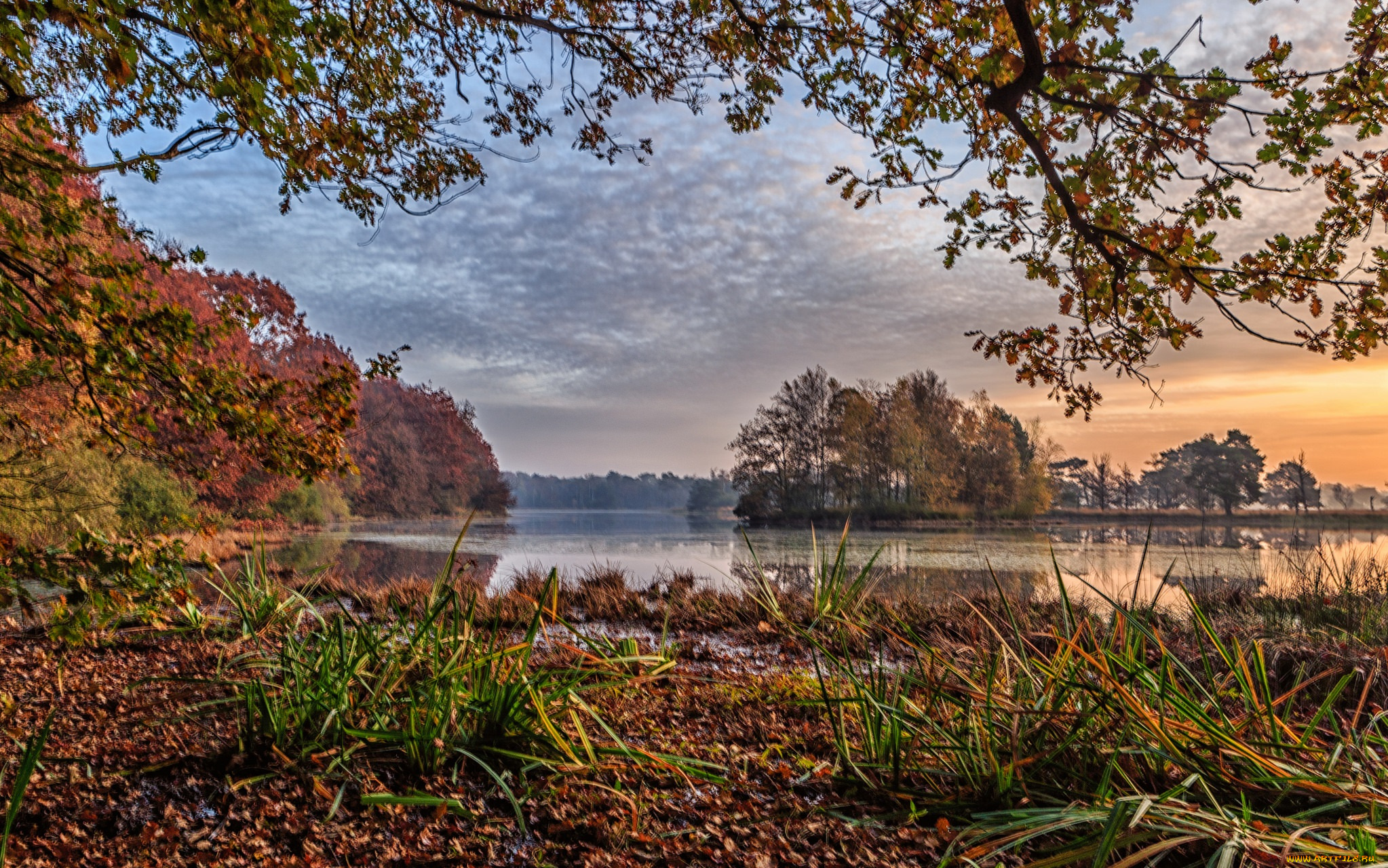 природа, реки, озера, река, лес