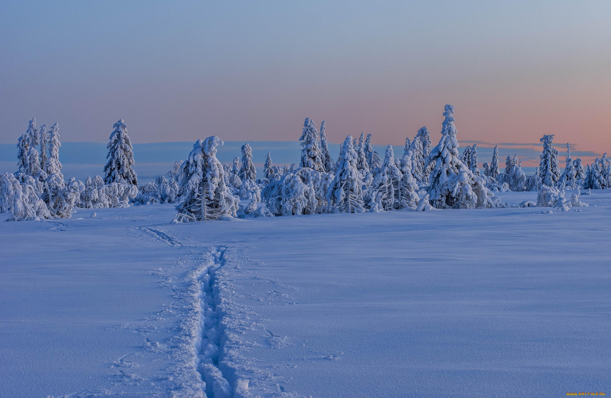 природа, зима, деревья, снег