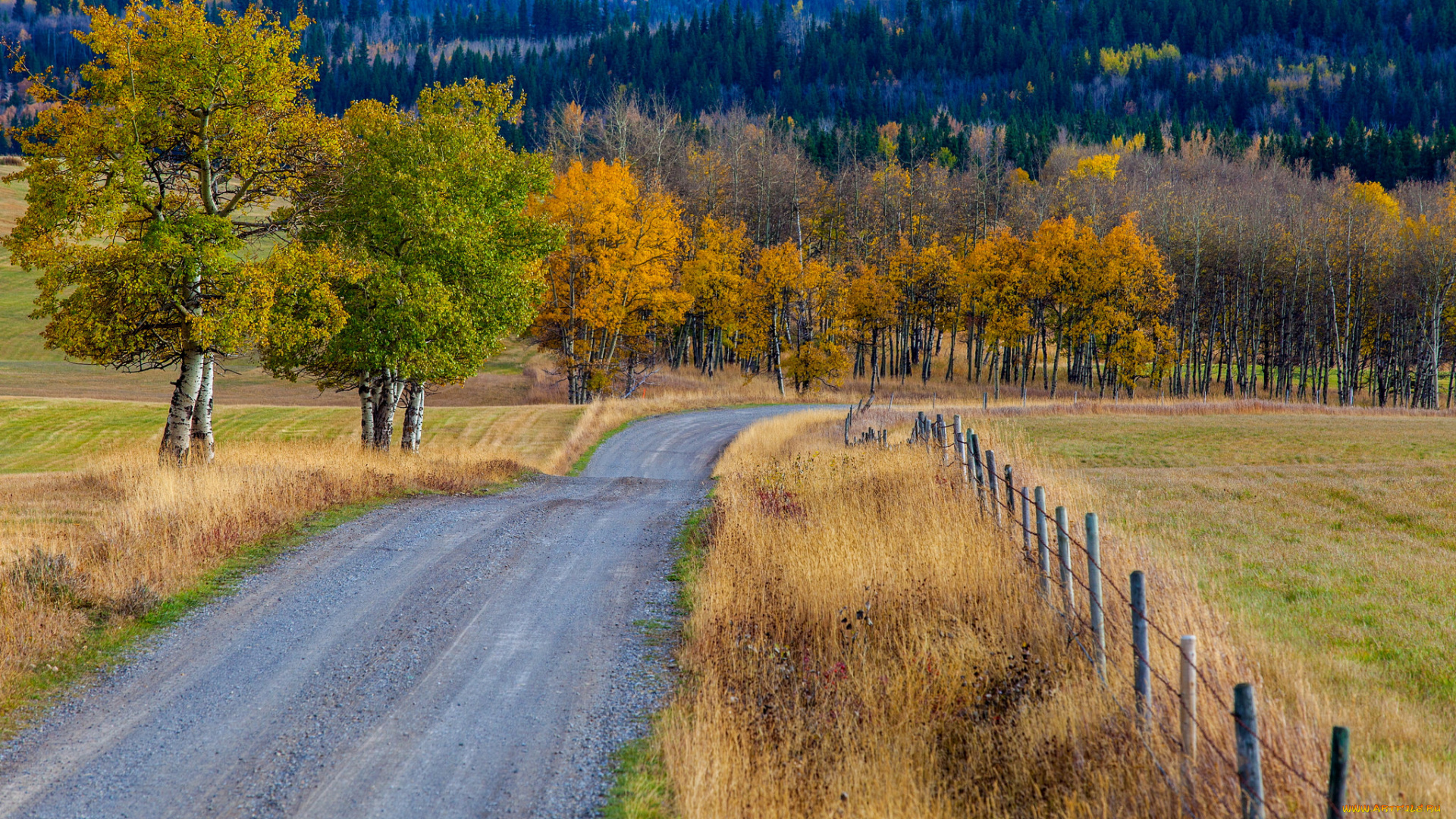 природа, дороги, простор