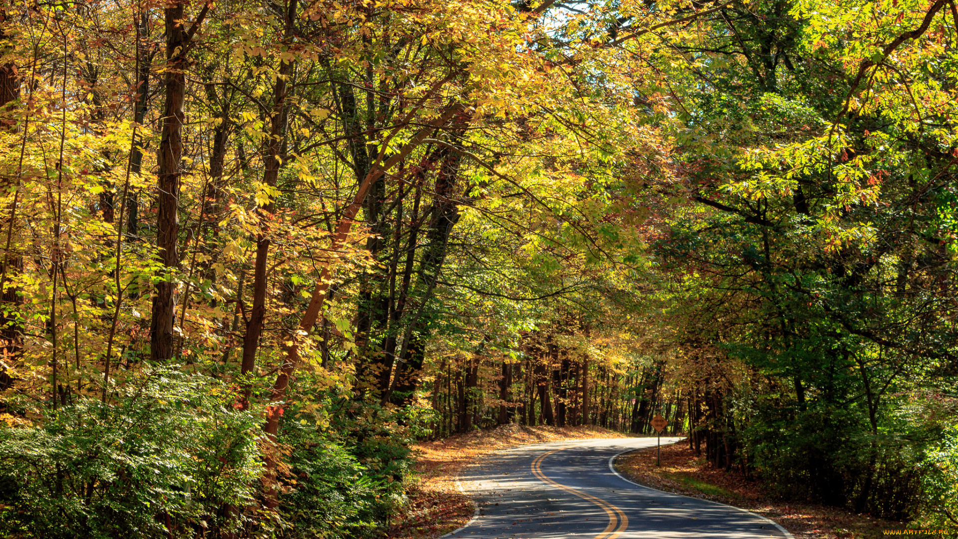 природа, дороги, простор