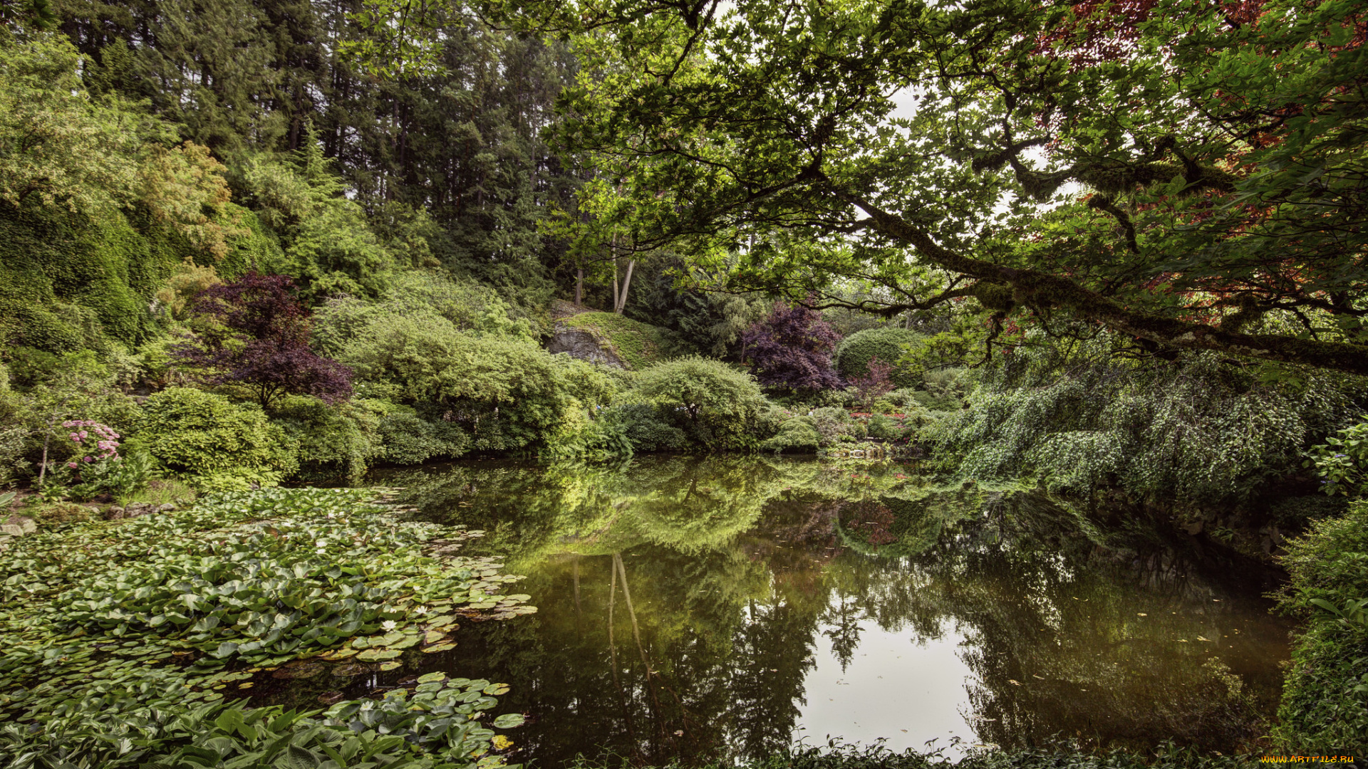 природа, реки, озера, простор