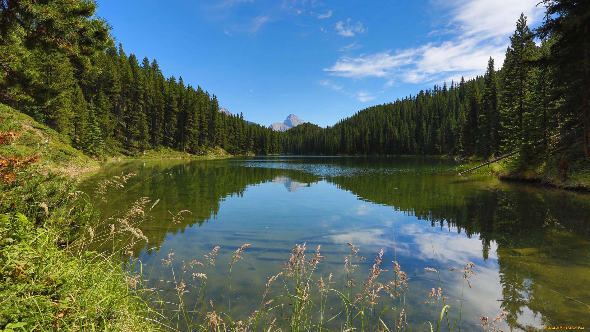 природа, реки, озера, простор