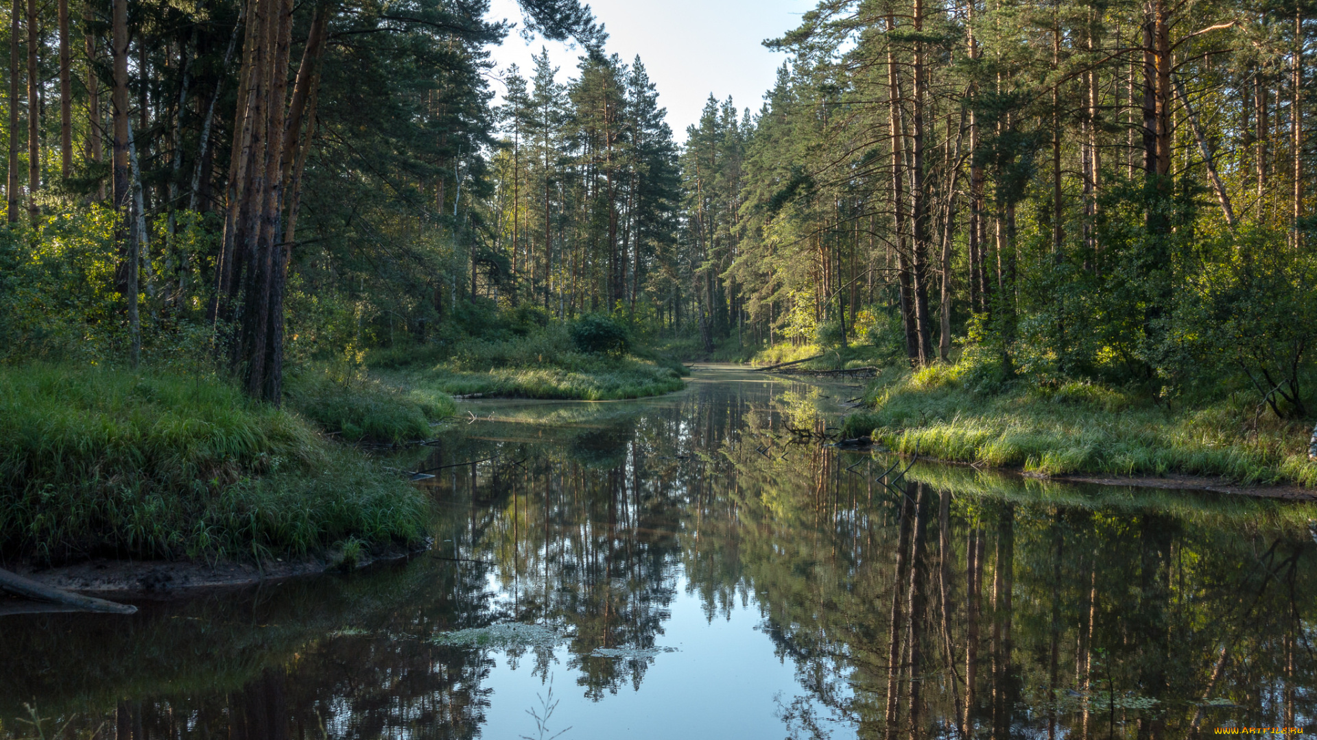 природа, реки, озера, простор