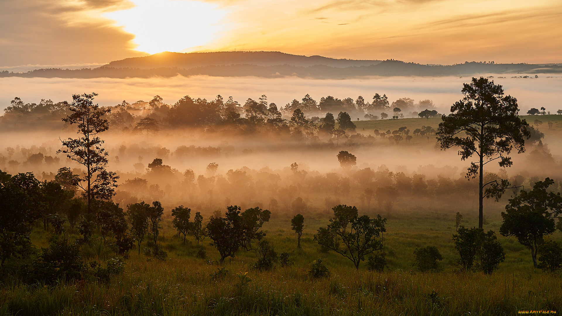 природа, восходы, закаты, простор