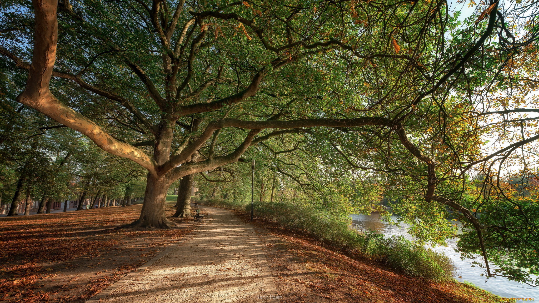 природа, дороги, простор