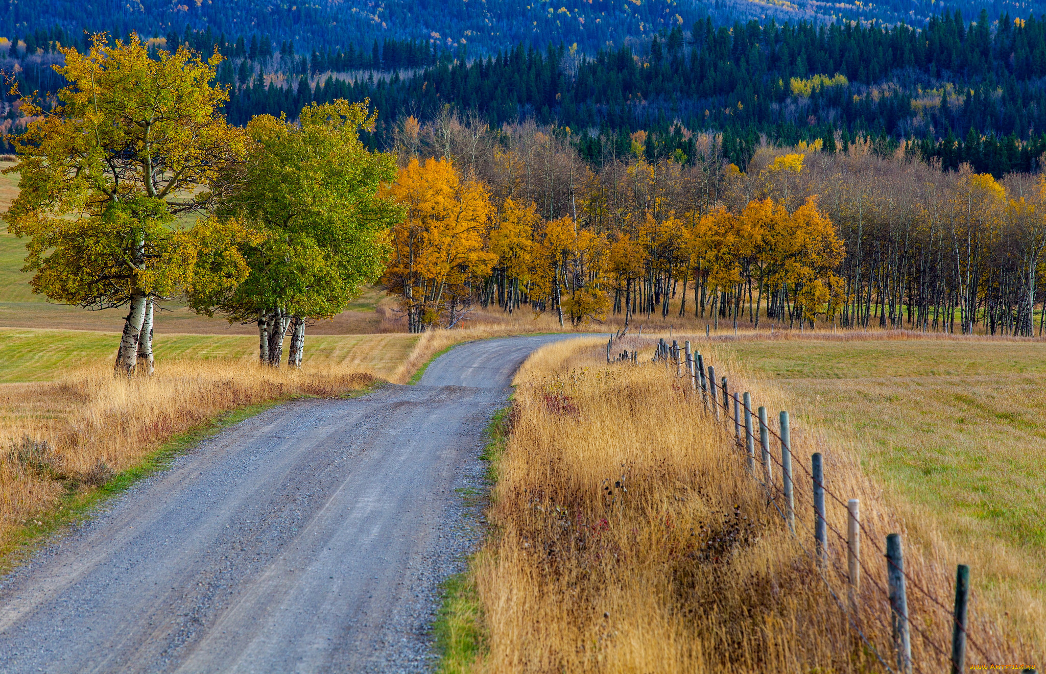 природа, дороги, простор