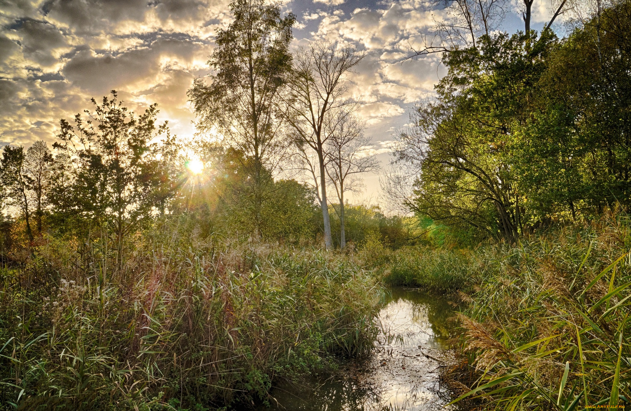 природа, реки, озера, простор
