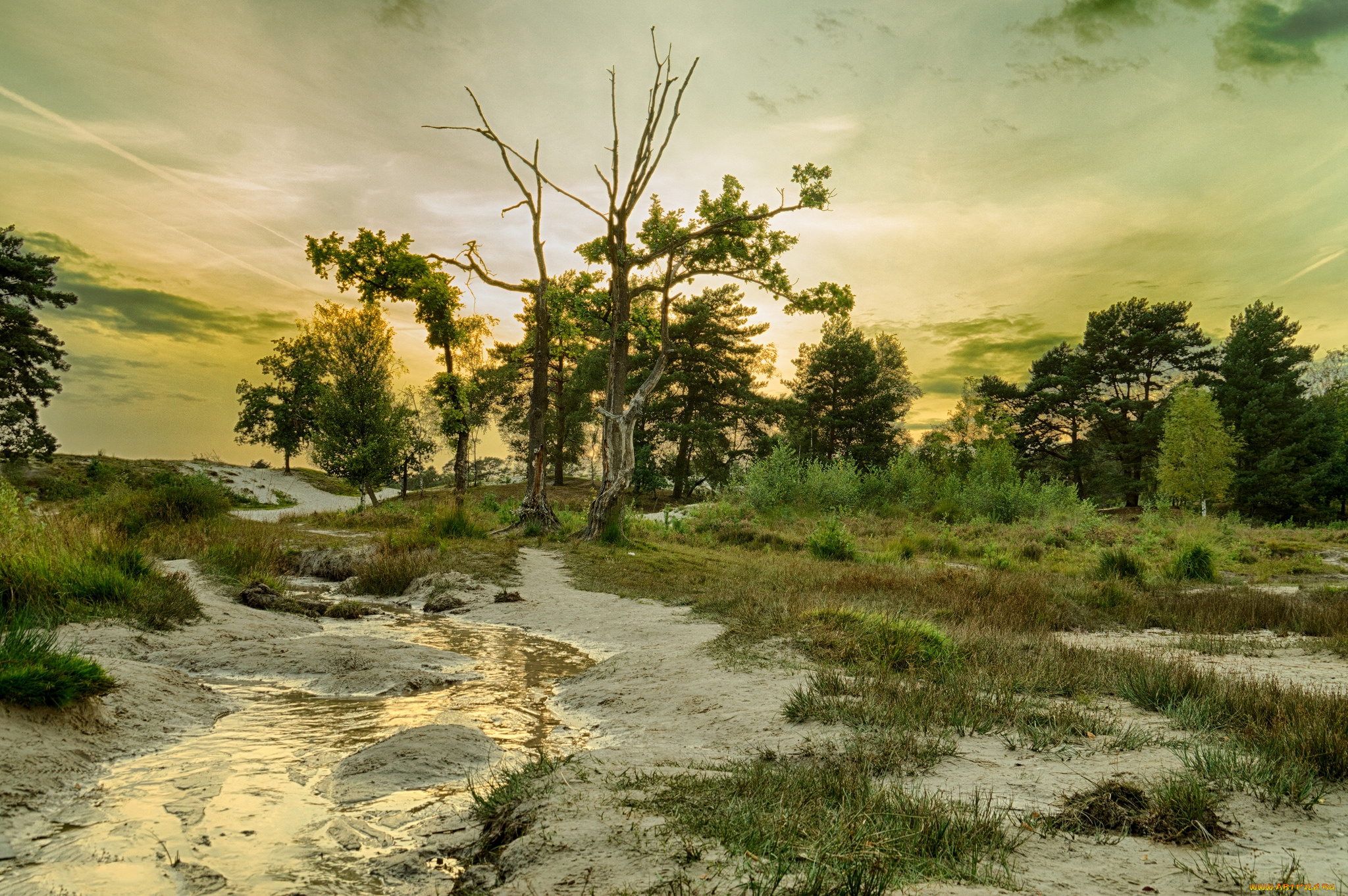 природа, реки, озера, простор